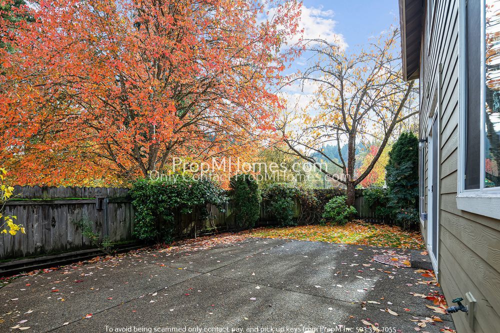 Four Bedroom Home in Progress Ridge - Corner Lot! property image