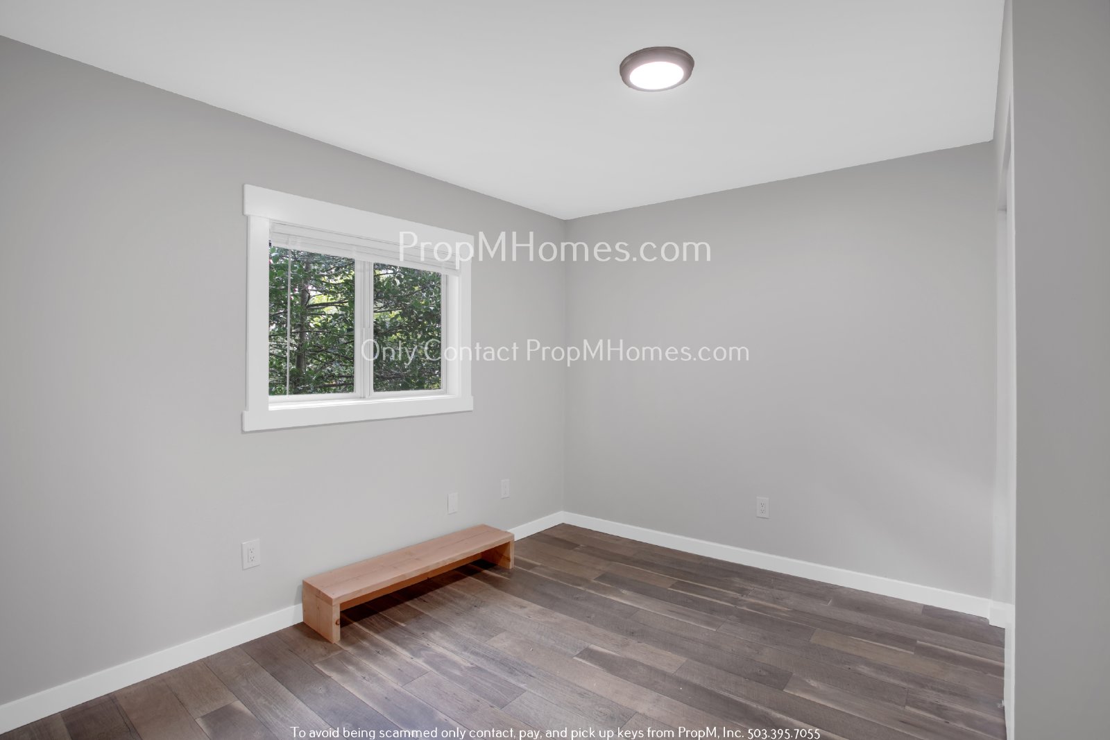 Charming One Bed Unit in Quiet Brentwood-Darlington Neighborhood! property image