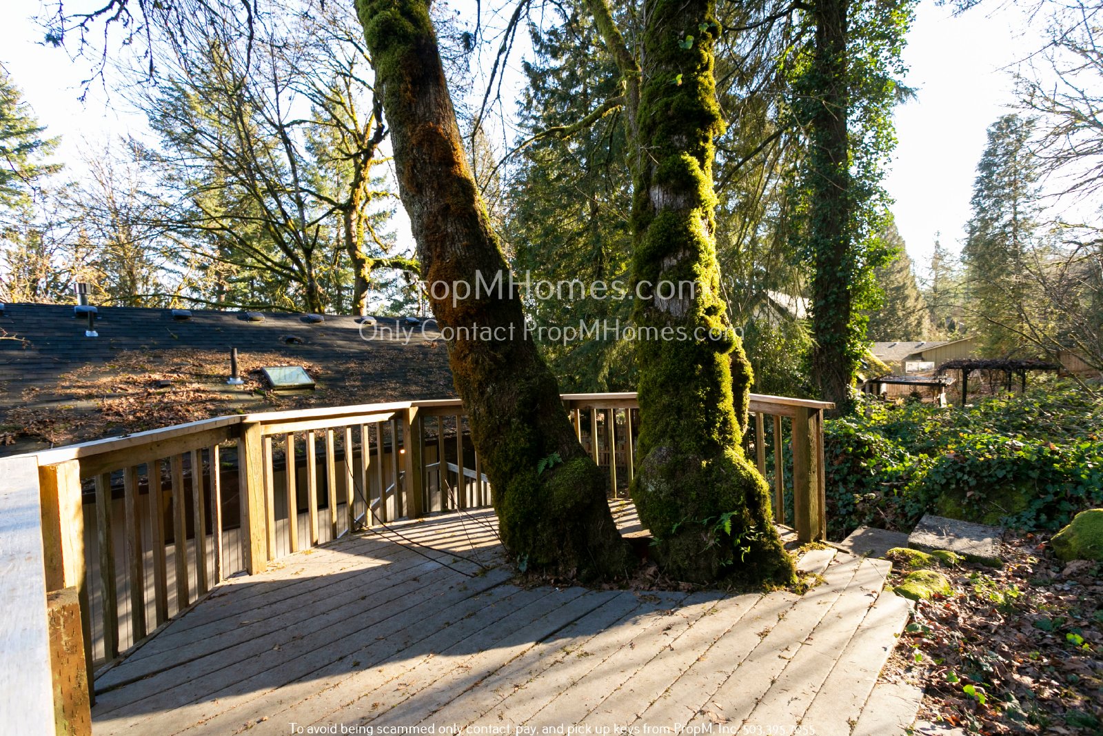 Stunning Five-Bedroom Rental in Milwaukie, Oregon: Your Perfect Home Awaits! property image