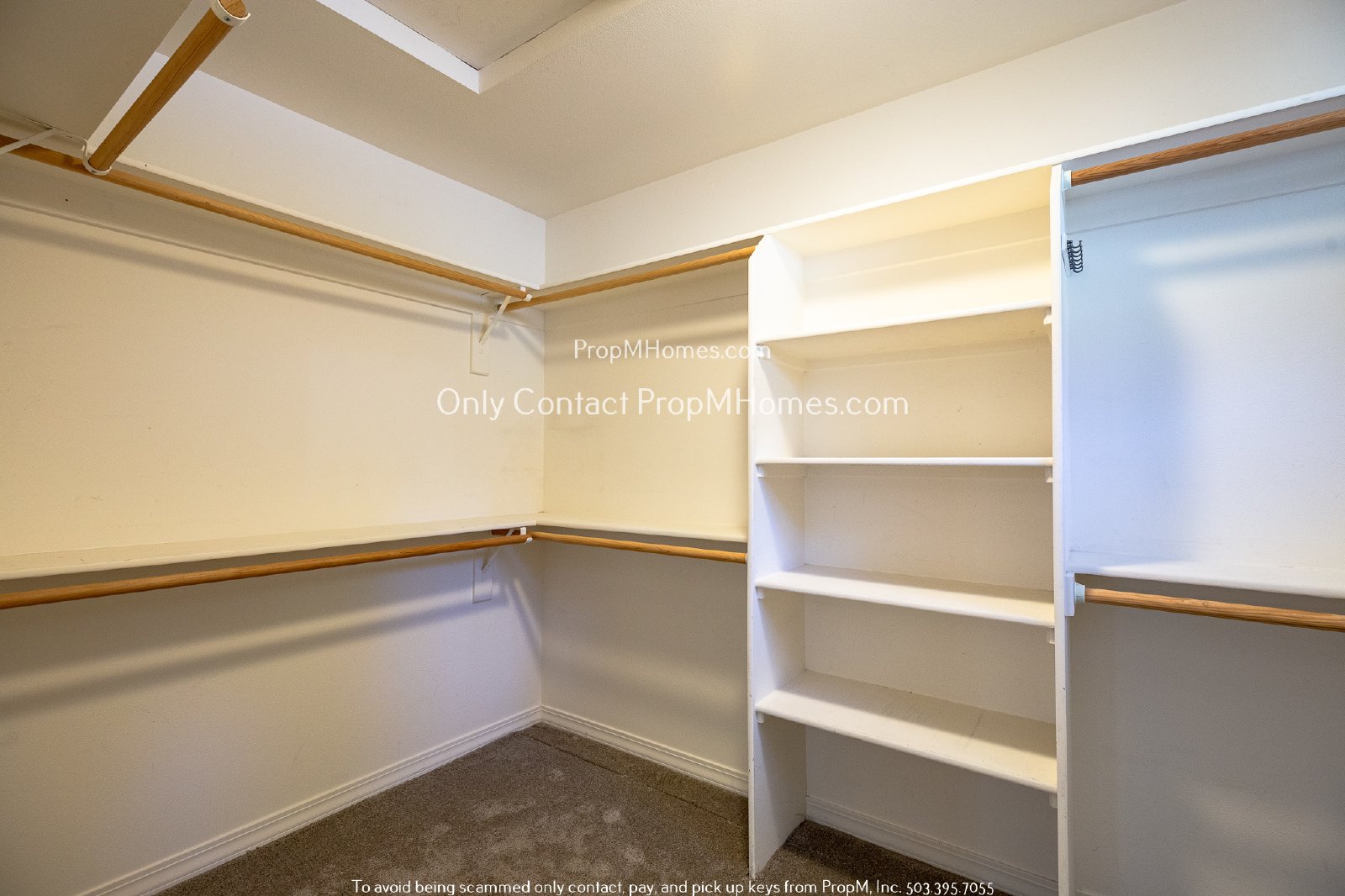 Light-Filled, Recently Updated Three Bedroom - Outstanding Outdoor Space! property image