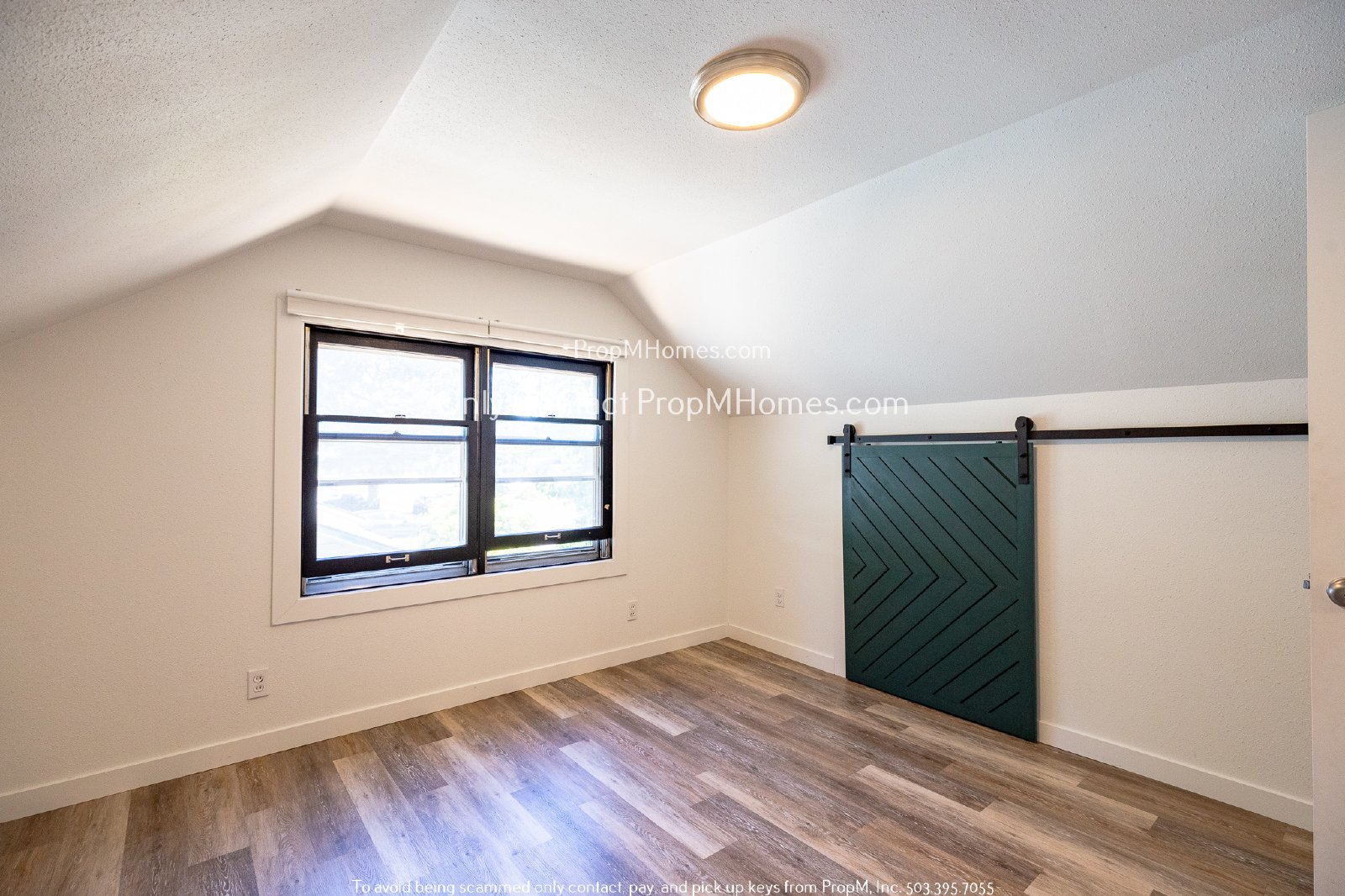 Light-Filled, Recently Updated Three Bedroom - Outstanding Outdoor Space! property image