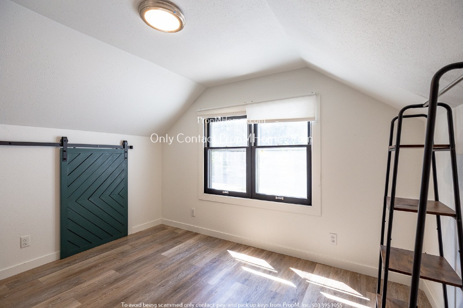 Light-Filled, Recently Updated Three Bedroom - Outstanding Outdoor Space! property image