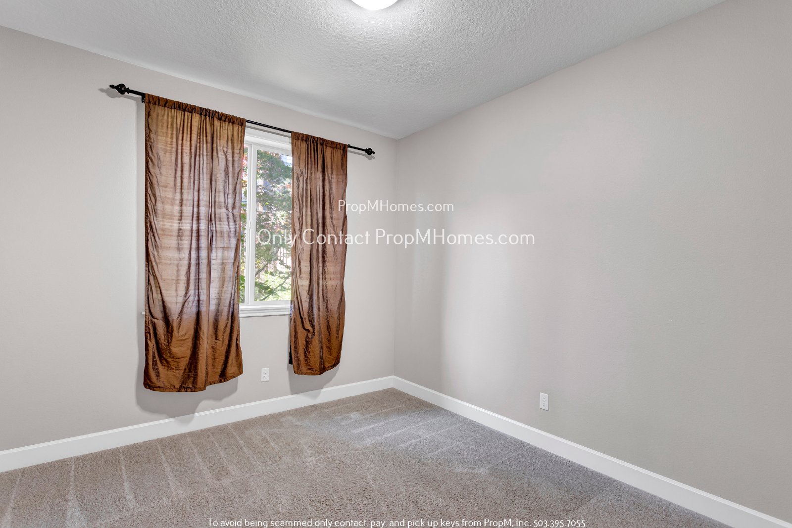 Discover Luxury Living with Exceptional Amenities at Arbor Oaks! property image