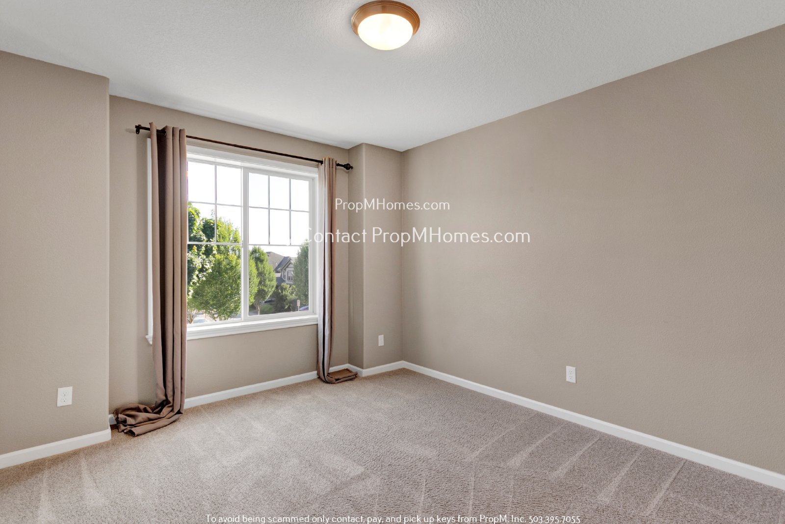 Discover Luxury Living with Exceptional Amenities at Arbor Oaks! property image