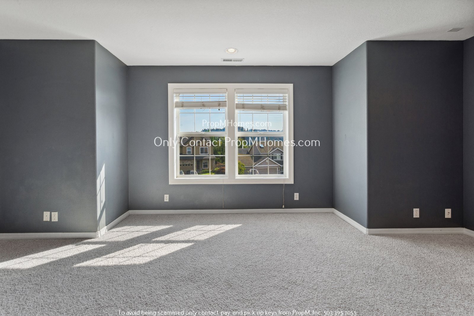 Beautiful Custom-Built Three Bedroom Home- With An Additional Room! property image