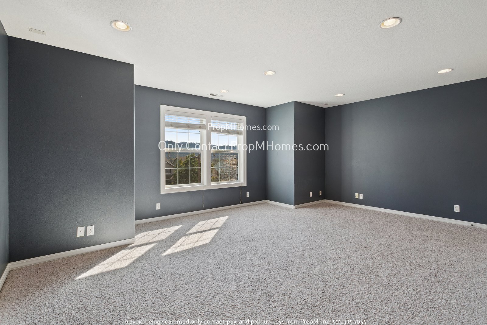 Beautiful Custom-Built Three Bedroom Home- With An Additional Room! property image