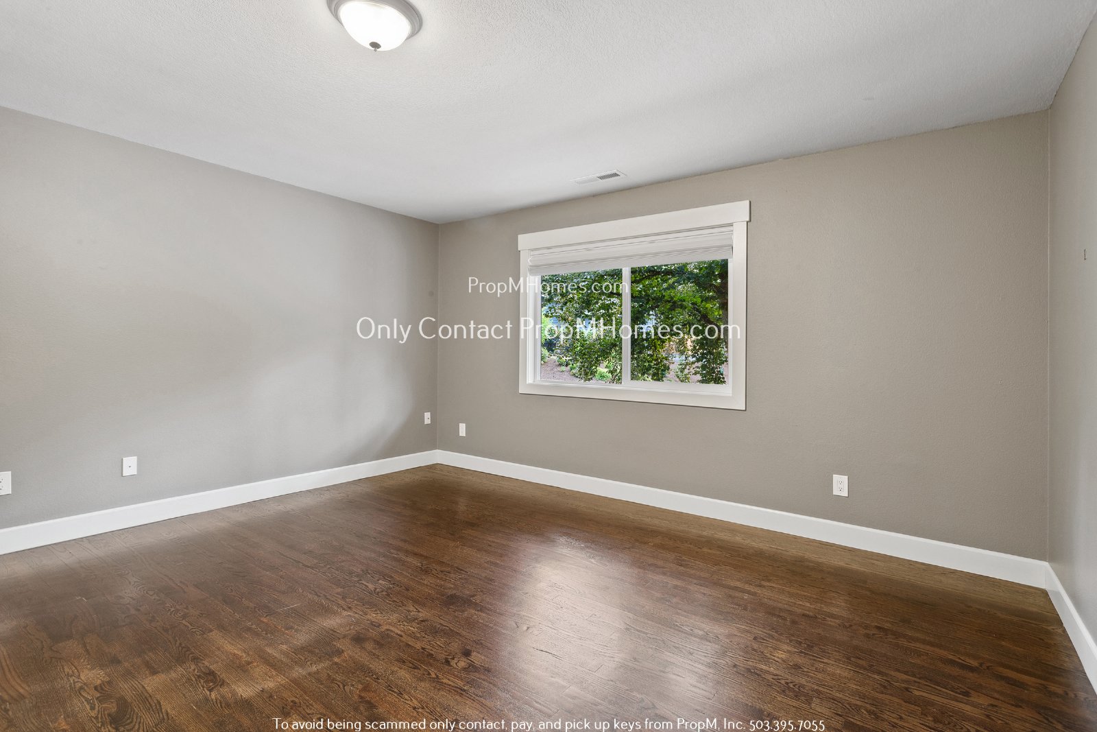 Stunning Lake Oswego Home with Modern Comforts and Private Outdoor Oasis! property image