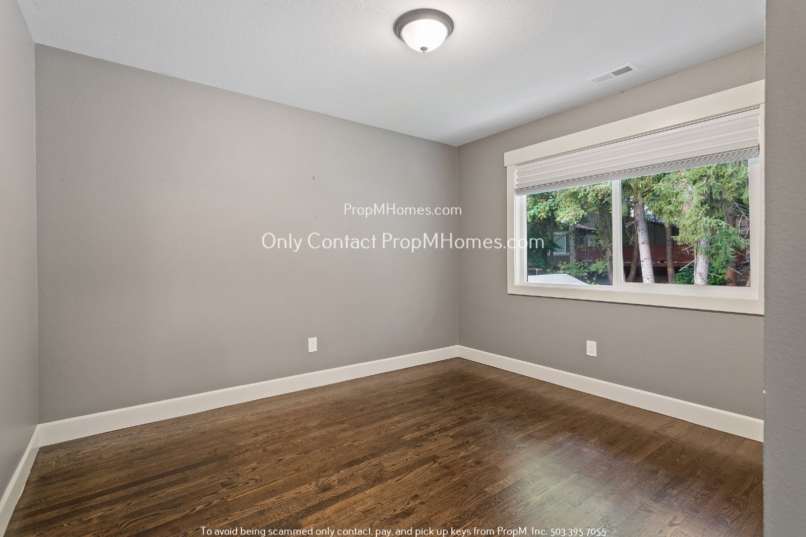 Stunning Lake Oswego Home with Modern Comforts and Private Outdoor Oasis! property image