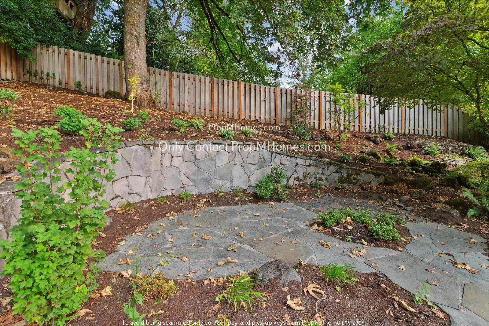 Stunning Lake Oswego Home with Modern Comforts and Private Outdoor Oasis! property image