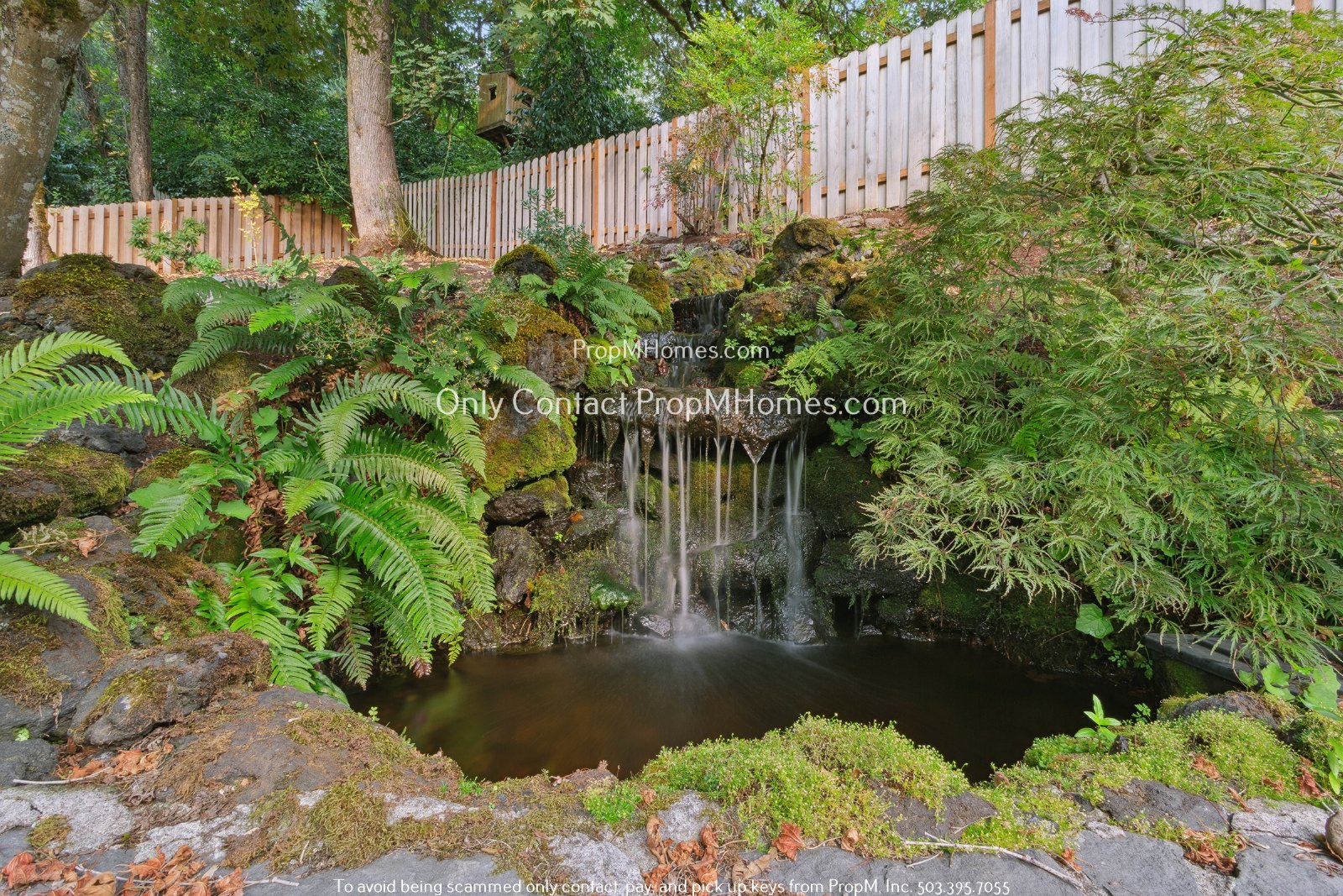 Stunning Lake Oswego Home with Modern Comforts and Private Outdoor Oasis! property image