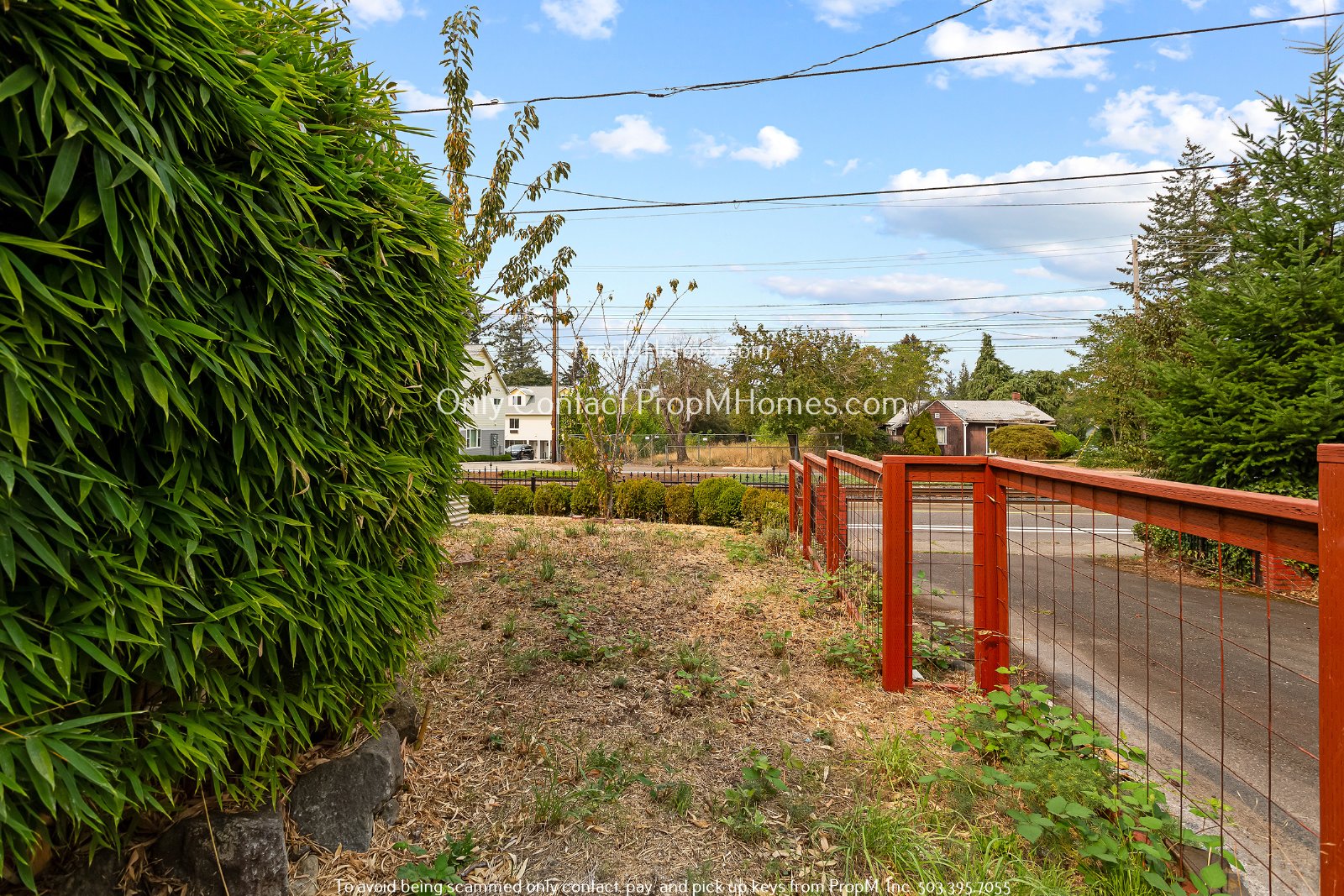 Updated 3 Bedroom Home with Hardwood Flooring - Many Fruit Trees! property image