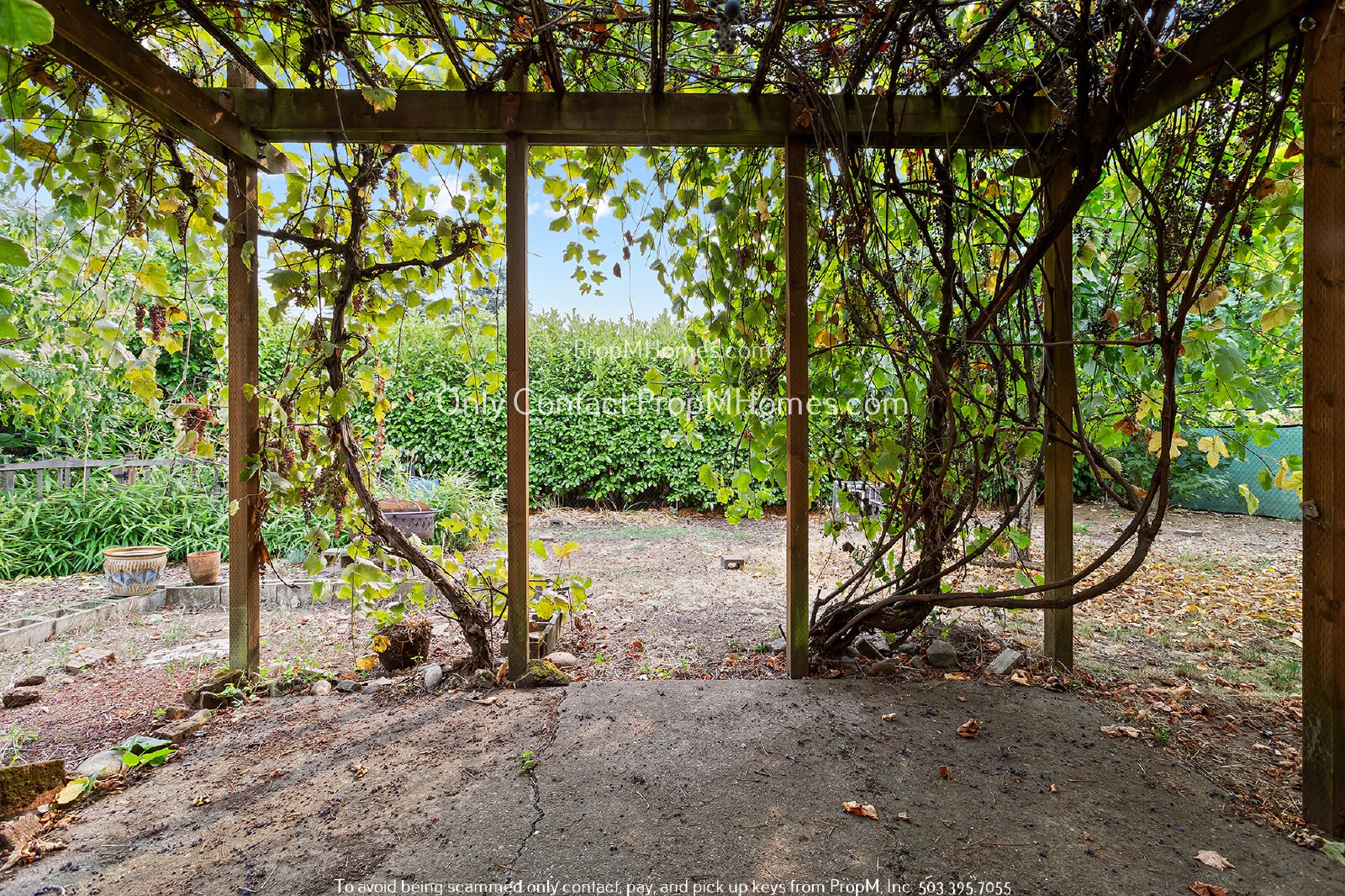 Updated 3 Bedroom Home with Hardwood Flooring - Many Fruit Trees! property image