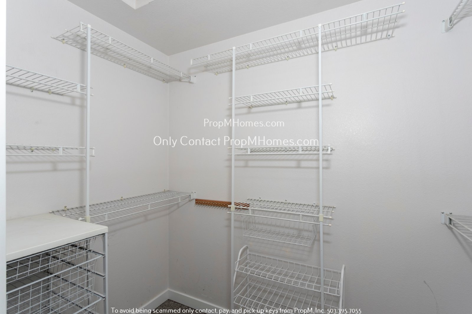 Sunny Beautiful Oasis in Canby - Three Bedrooms! property image