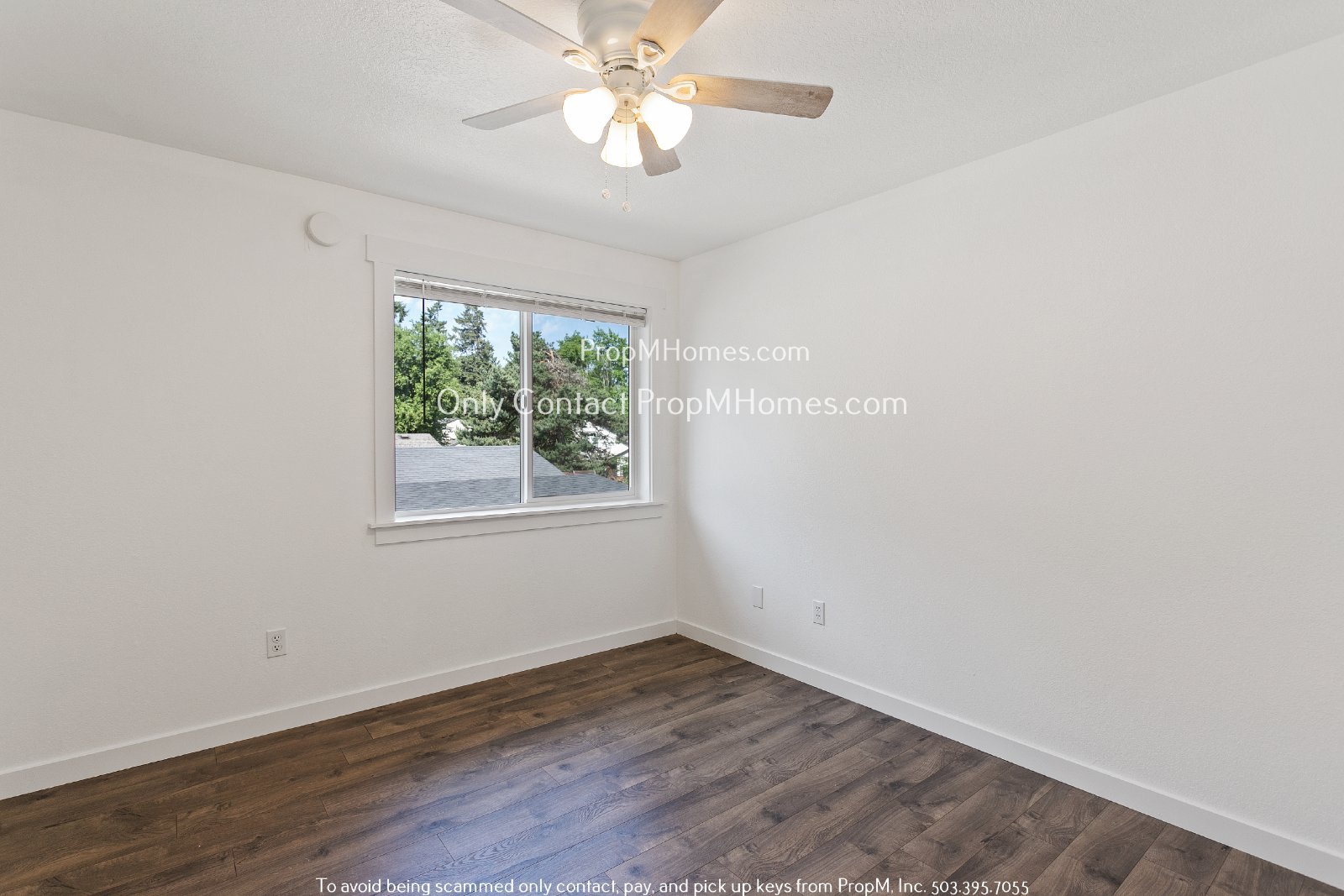 Sunny Beautiful Oasis in Canby - Three Bedrooms! property image