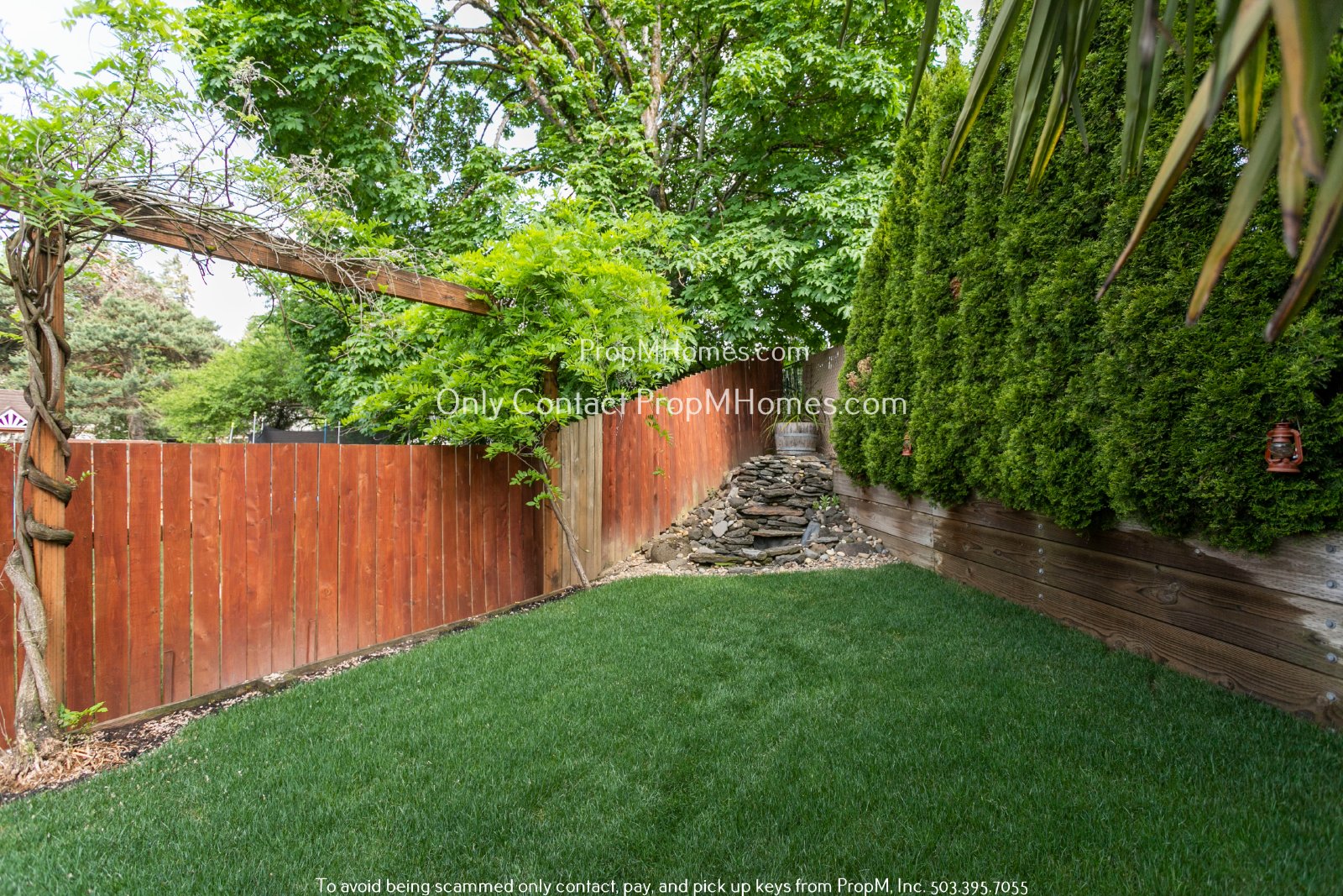 Sunny Beautiful Oasis in Canby - Three Bedrooms! property image