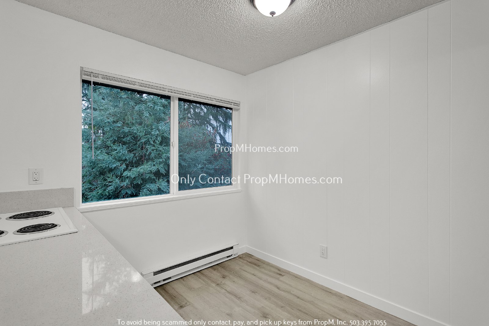 Updated Two Bedroom Unit - First Month Free! property image