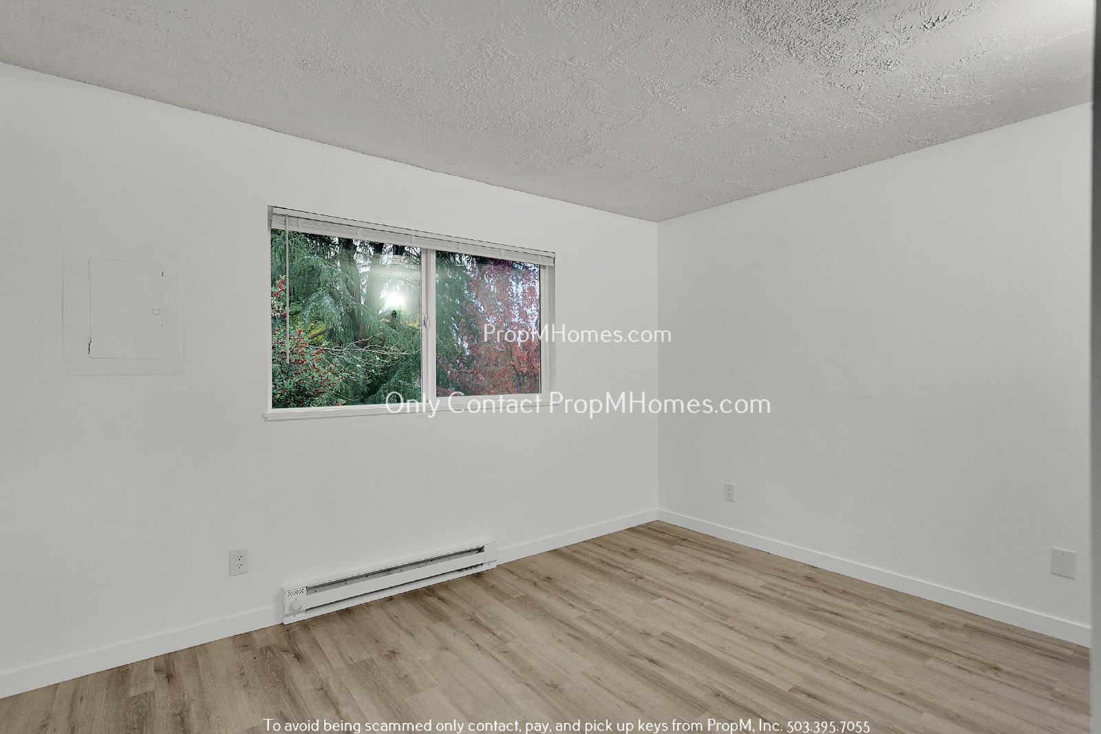 Updated Two Bedroom Unit - First Month Free! property image