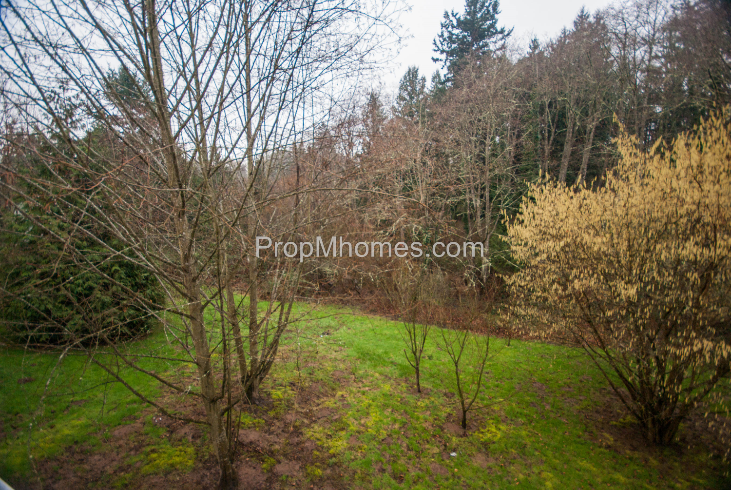 Spacious Three Bedroom, Three Bath Townhouse w/ Attached Garage property image