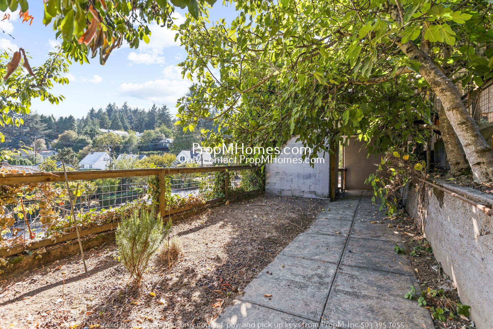 Unique Four Bedroom Home in SW Portland - W/ Studio Space! property image