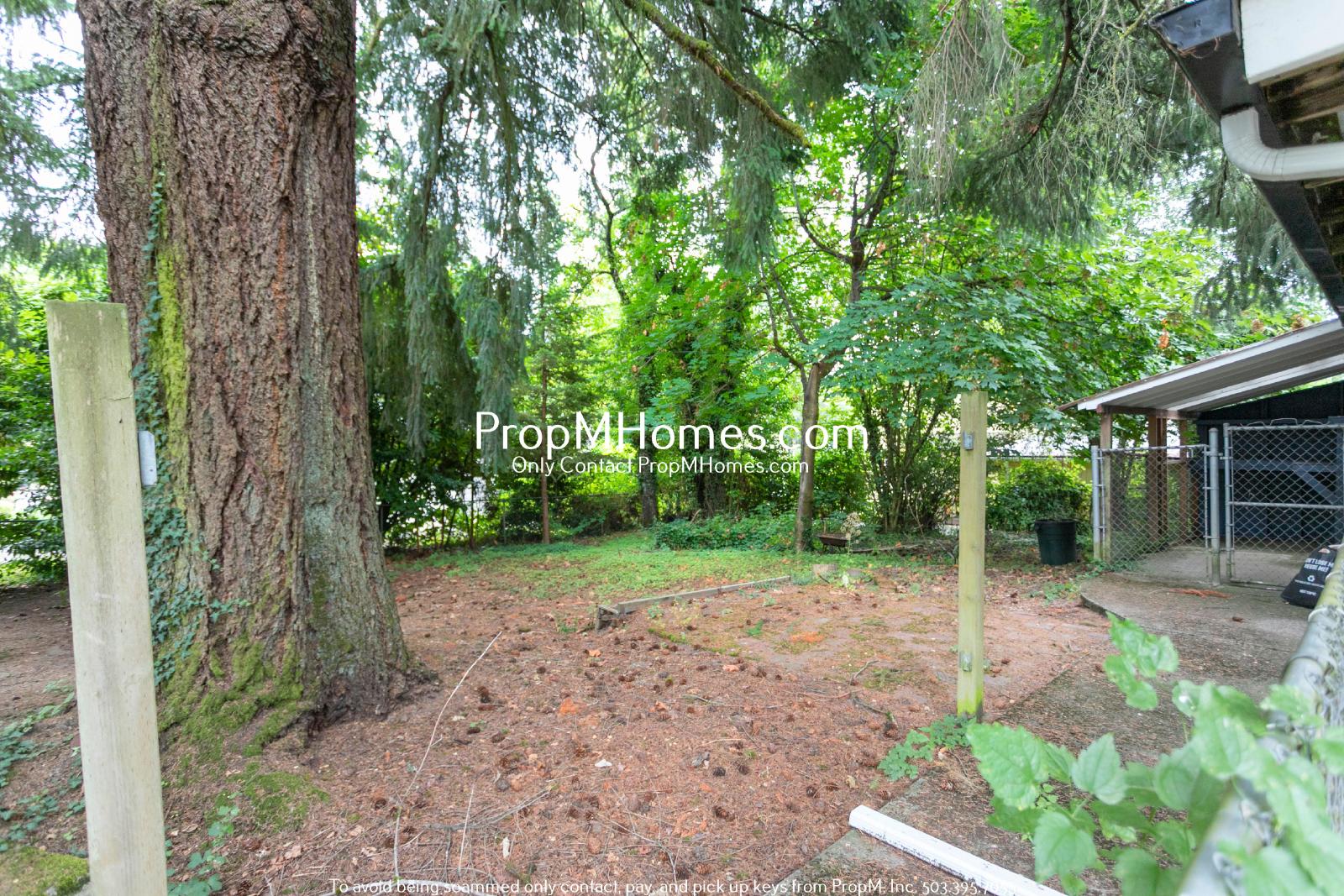 Charming 3-Bedroom Bungalow in the Heart of First Addition! property image