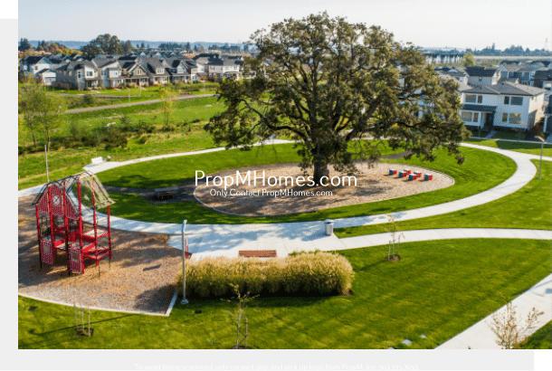 Luxury Four Bedroom Home in Reed's Crossing - DEPOSIT SPECIAL property image