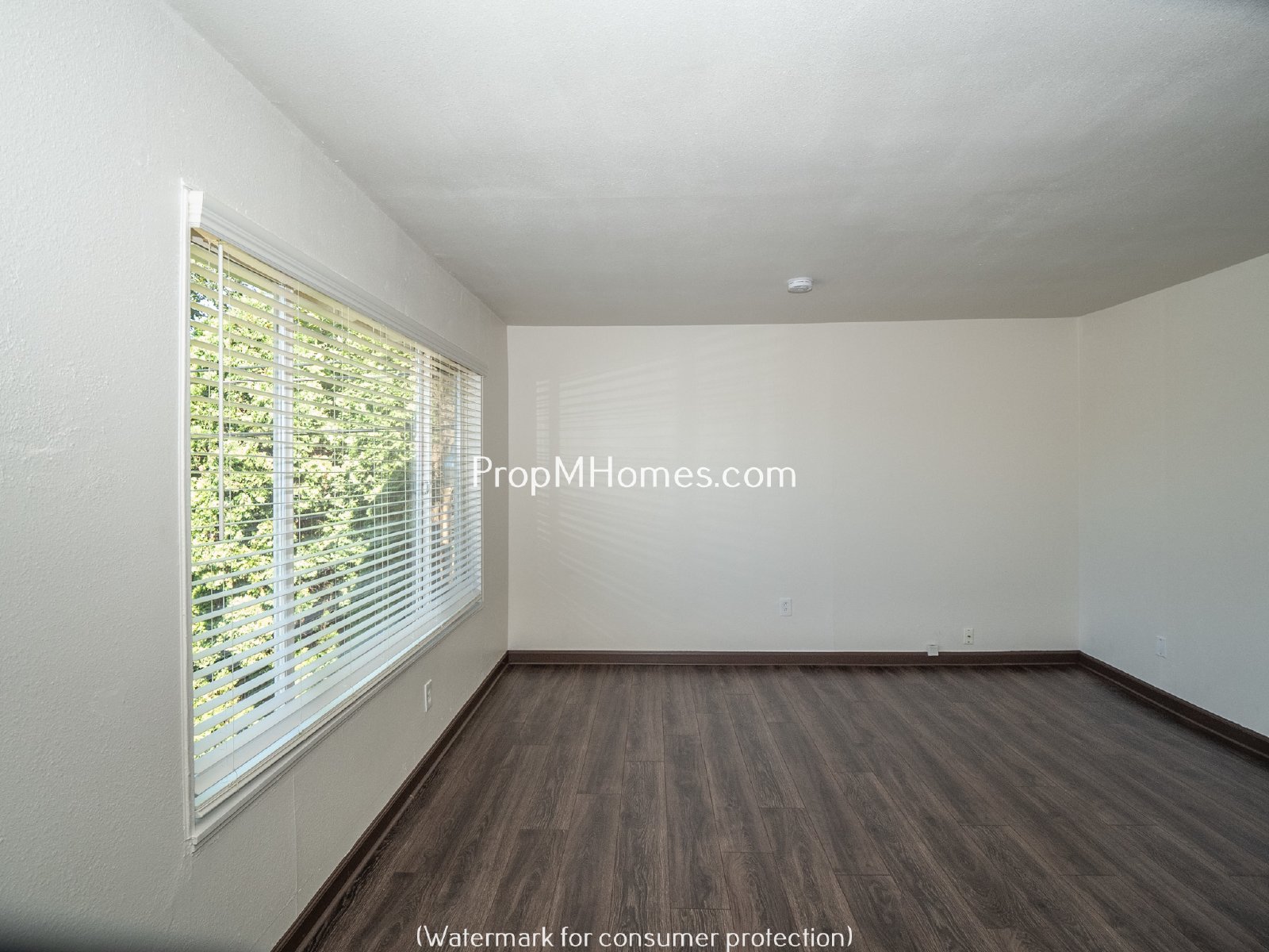 One Bedroom in the Heart of SE! property image