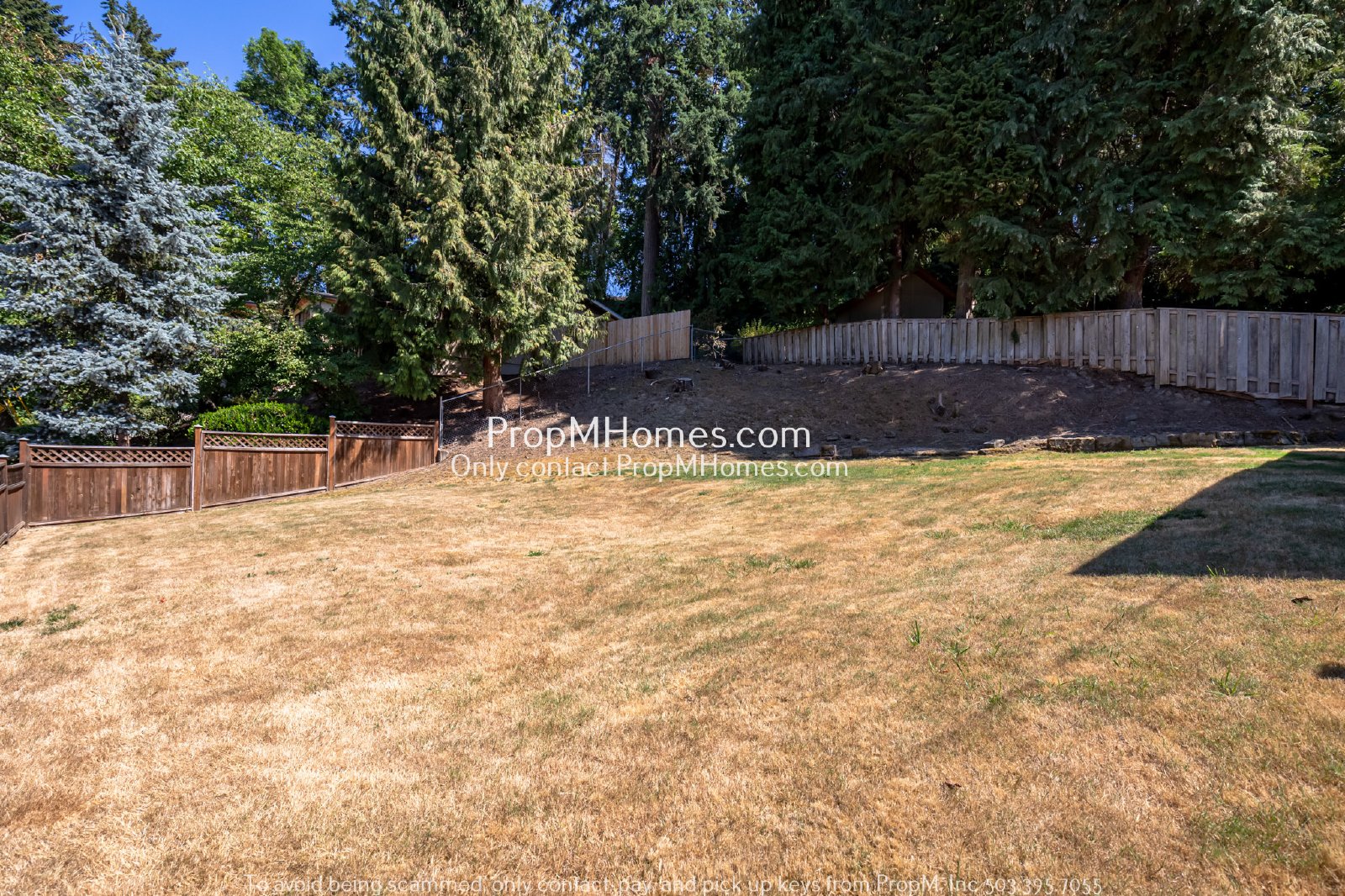 Beautiful Ranch Home in Lake Oswego - Three Bedrooms! property image