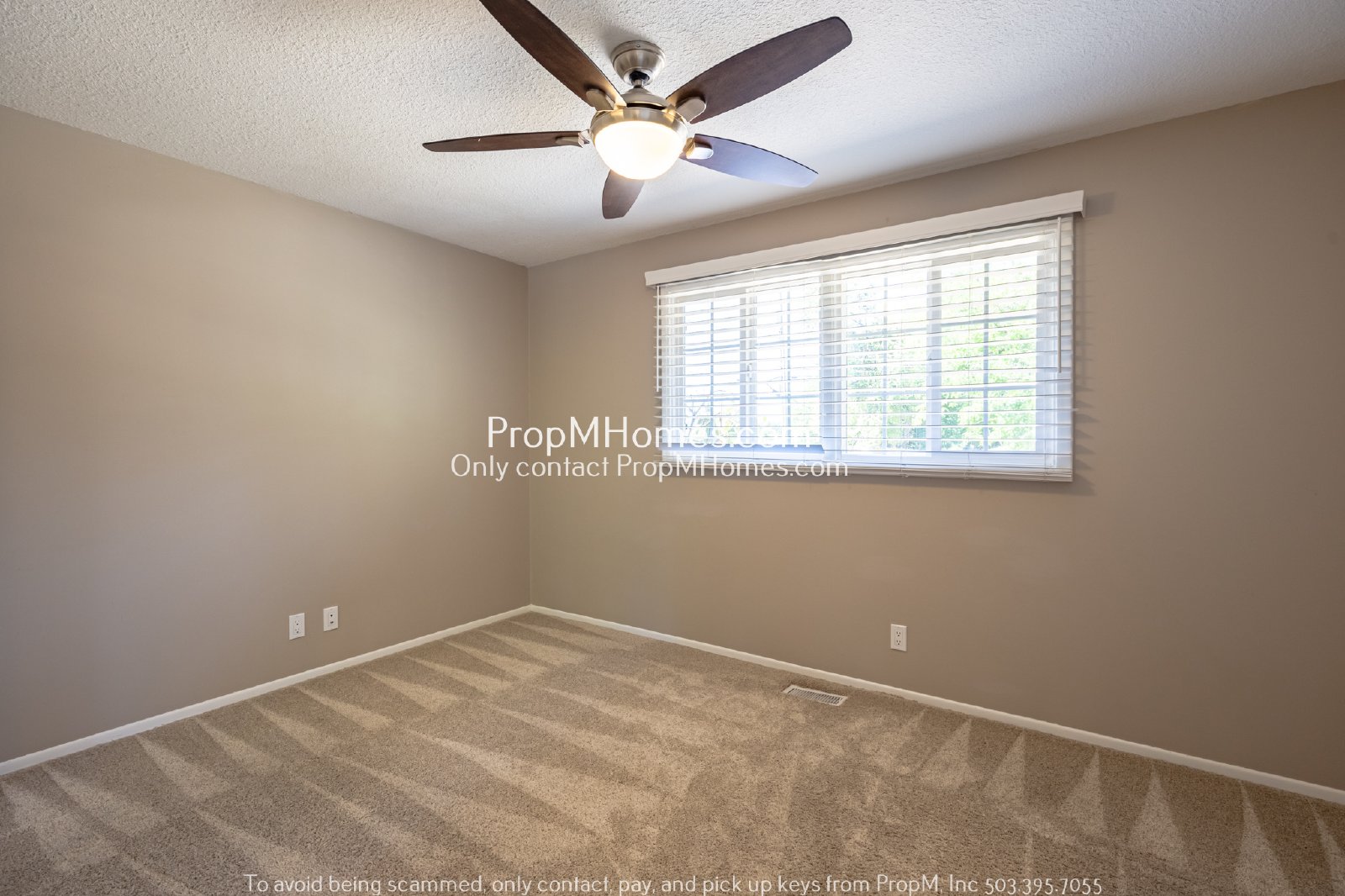 Beautiful Ranch Home in Lake Oswego - Three Bedrooms! property image