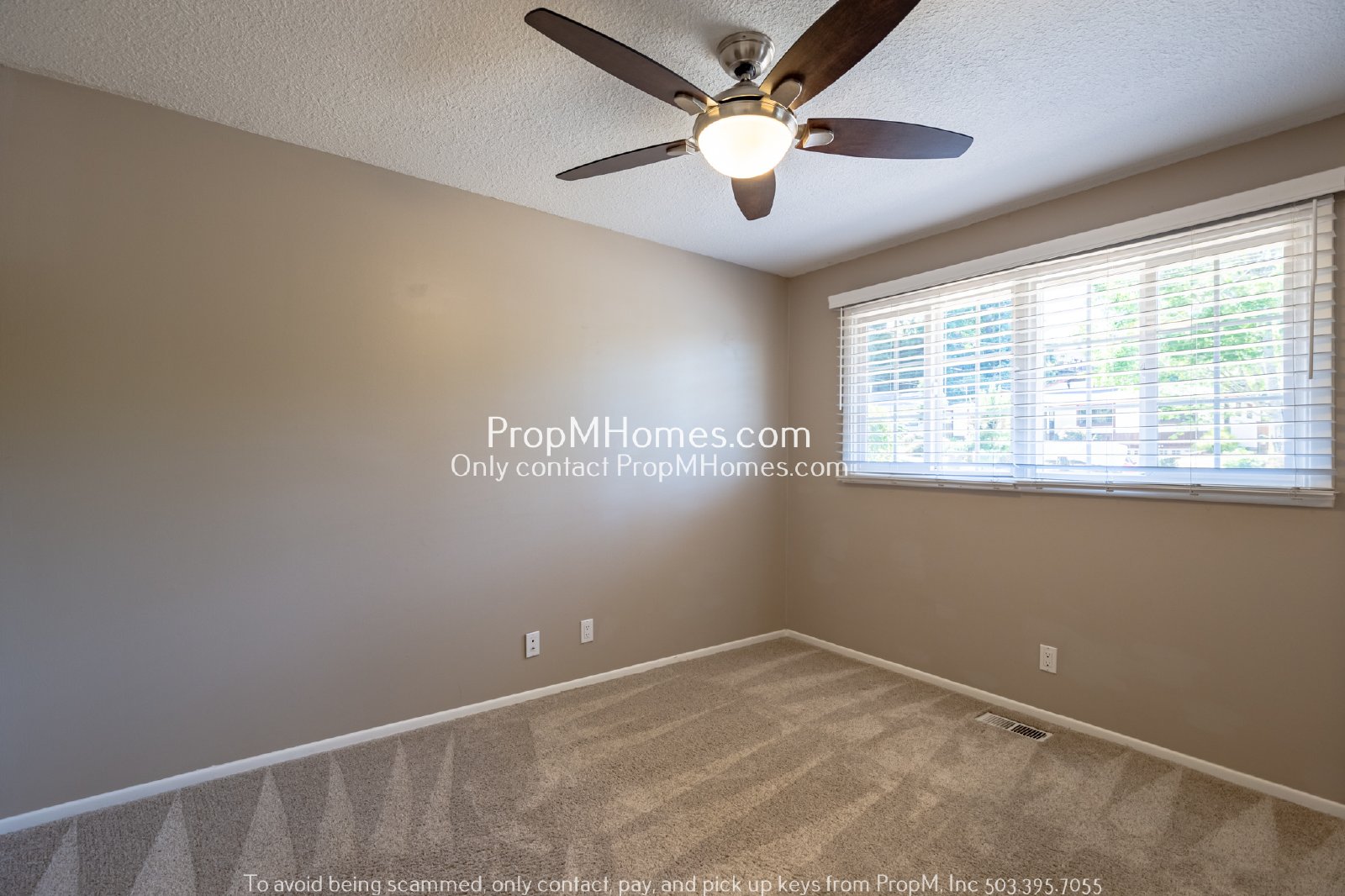 Beautiful Ranch Home in Lake Oswego - Three Bedrooms! property image