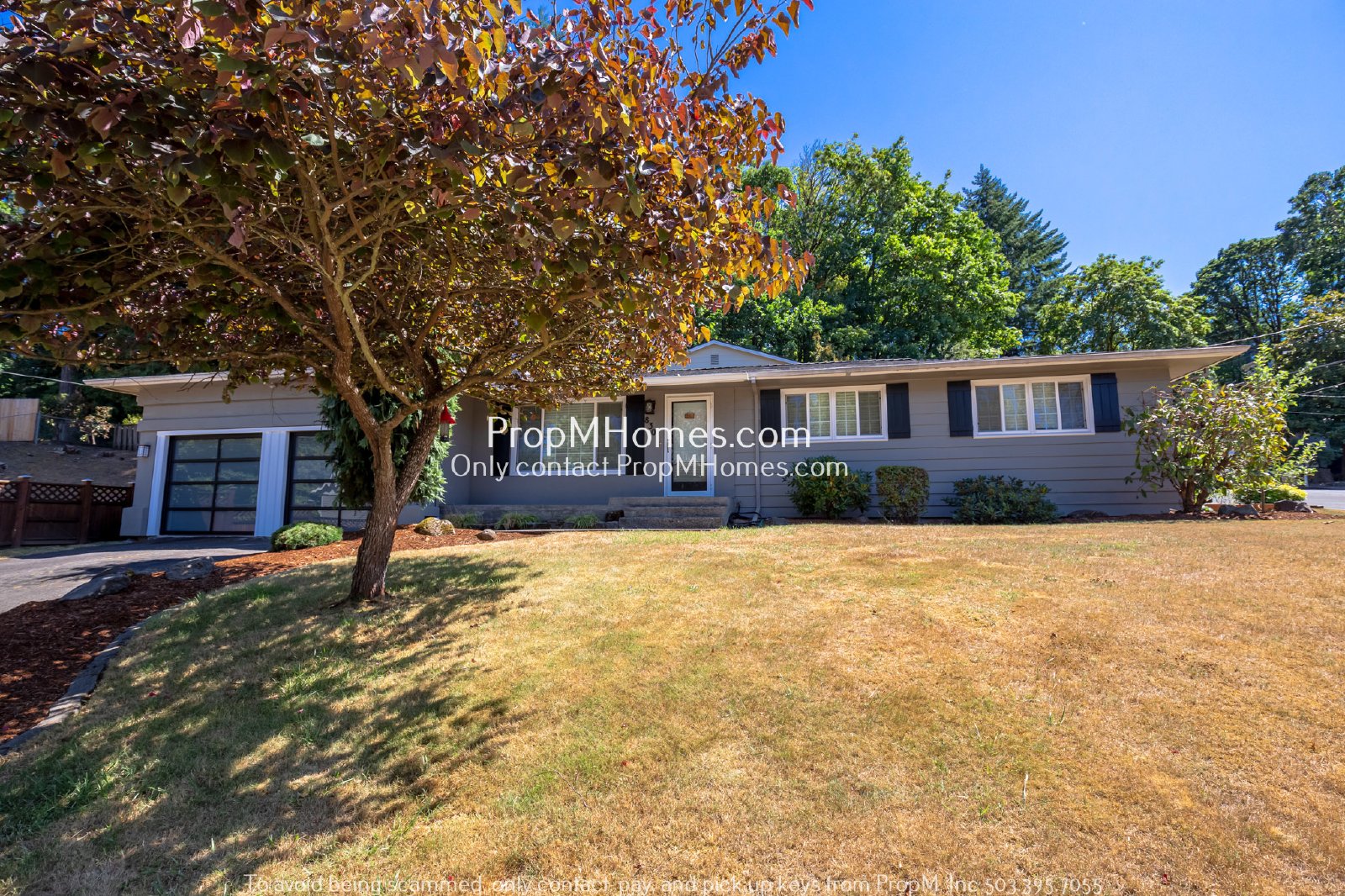 Beautiful Ranch Home in Lake Oswego - Three Bedrooms! property image