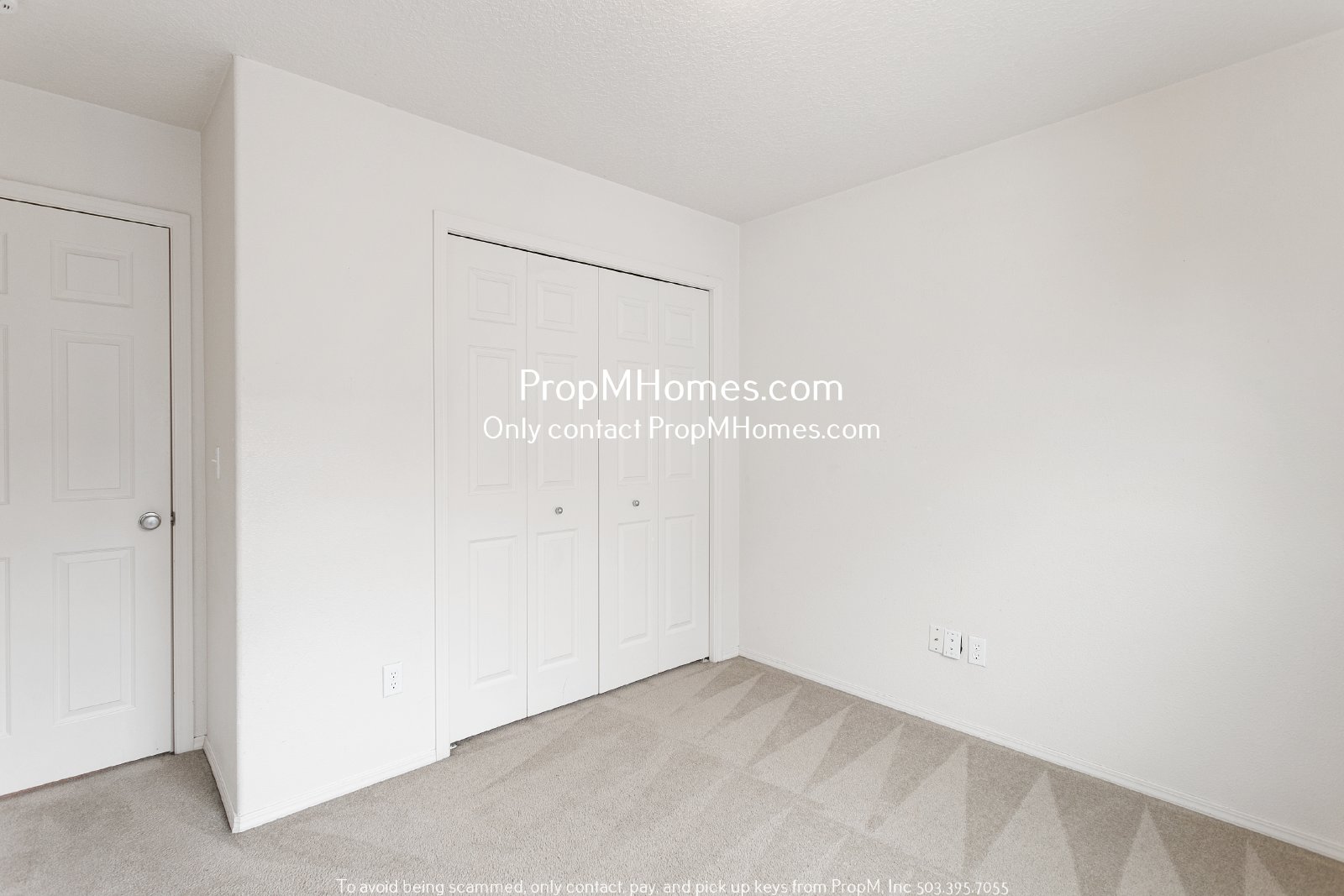 Colorful Four Bedroom Home In Bethany W/ Spacious Backyard! property image