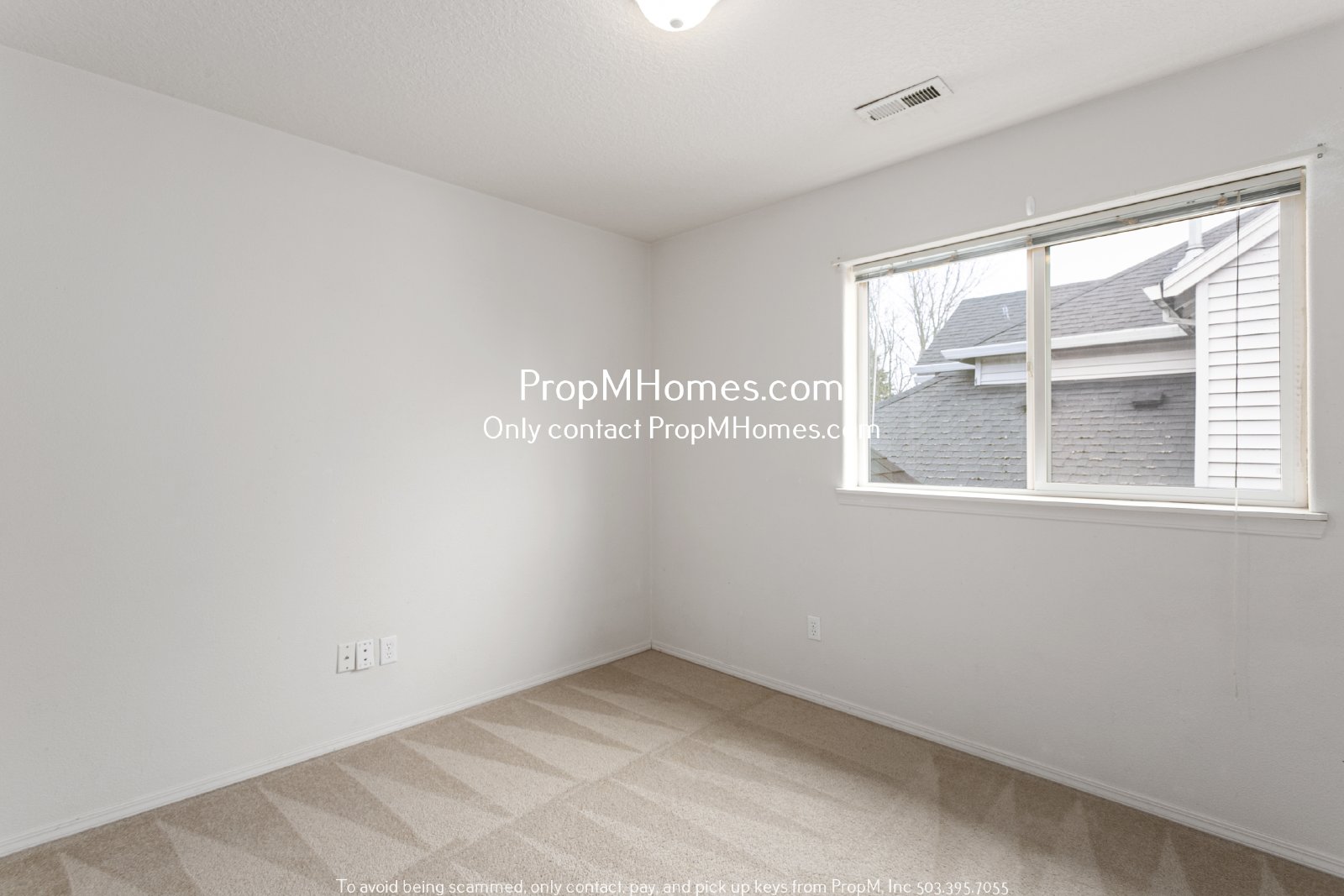 Colorful Four Bedroom Home In Bethany W/ Spacious Backyard! property image