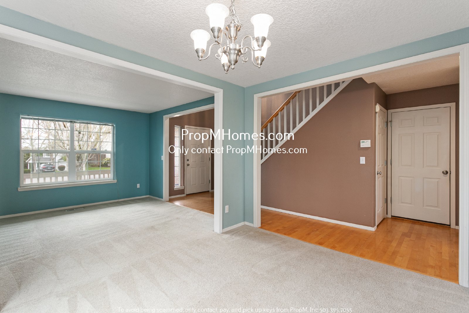 Colorful Four Bedroom Home In Bethany W/ Spacious Backyard! property image