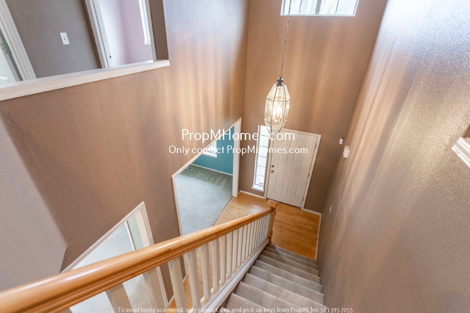 Colorful Four Bedroom Home In Bethany W/ Spacious Backyard! property image