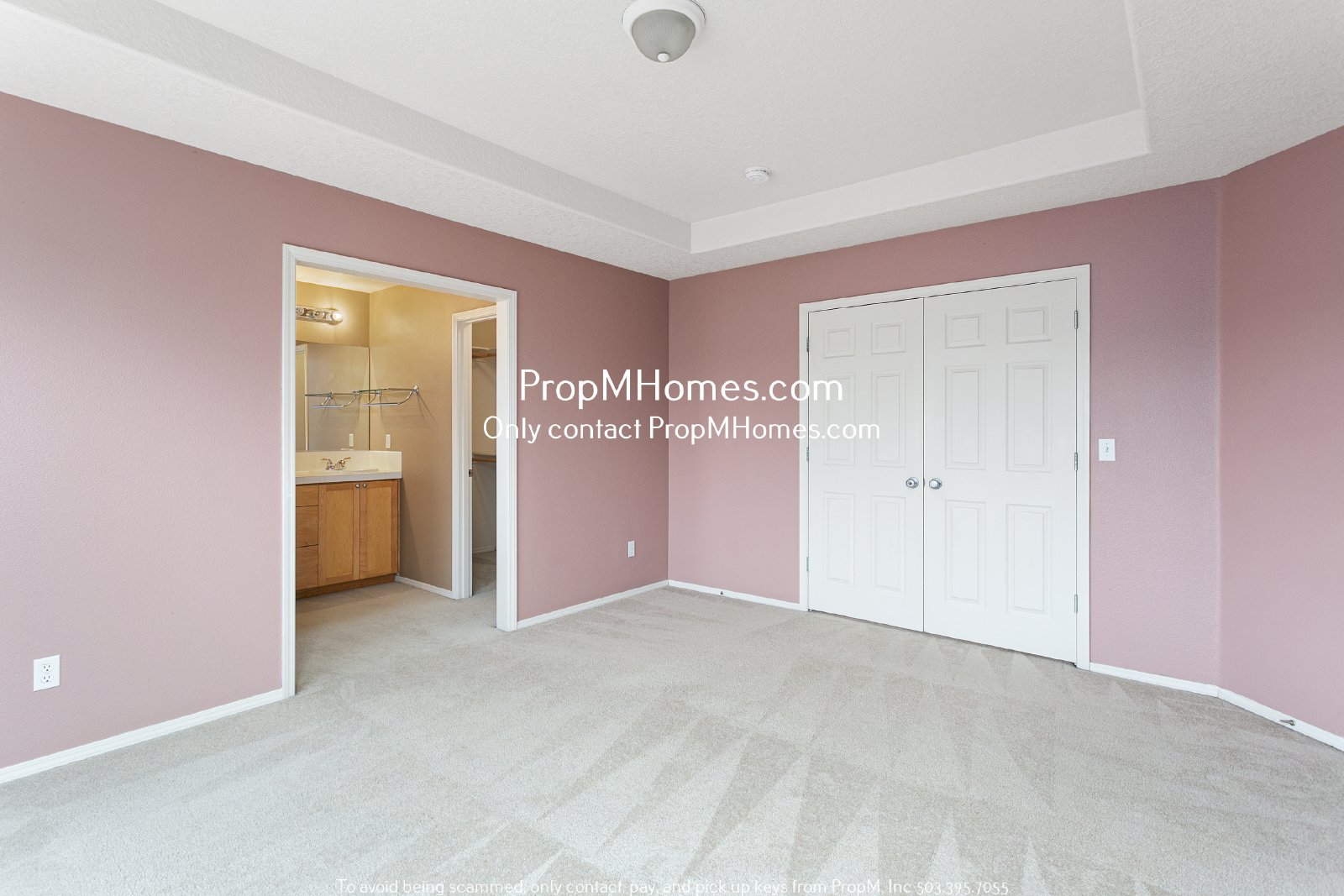 Colorful Four Bedroom Home In Bethany W/ Spacious Backyard! property image