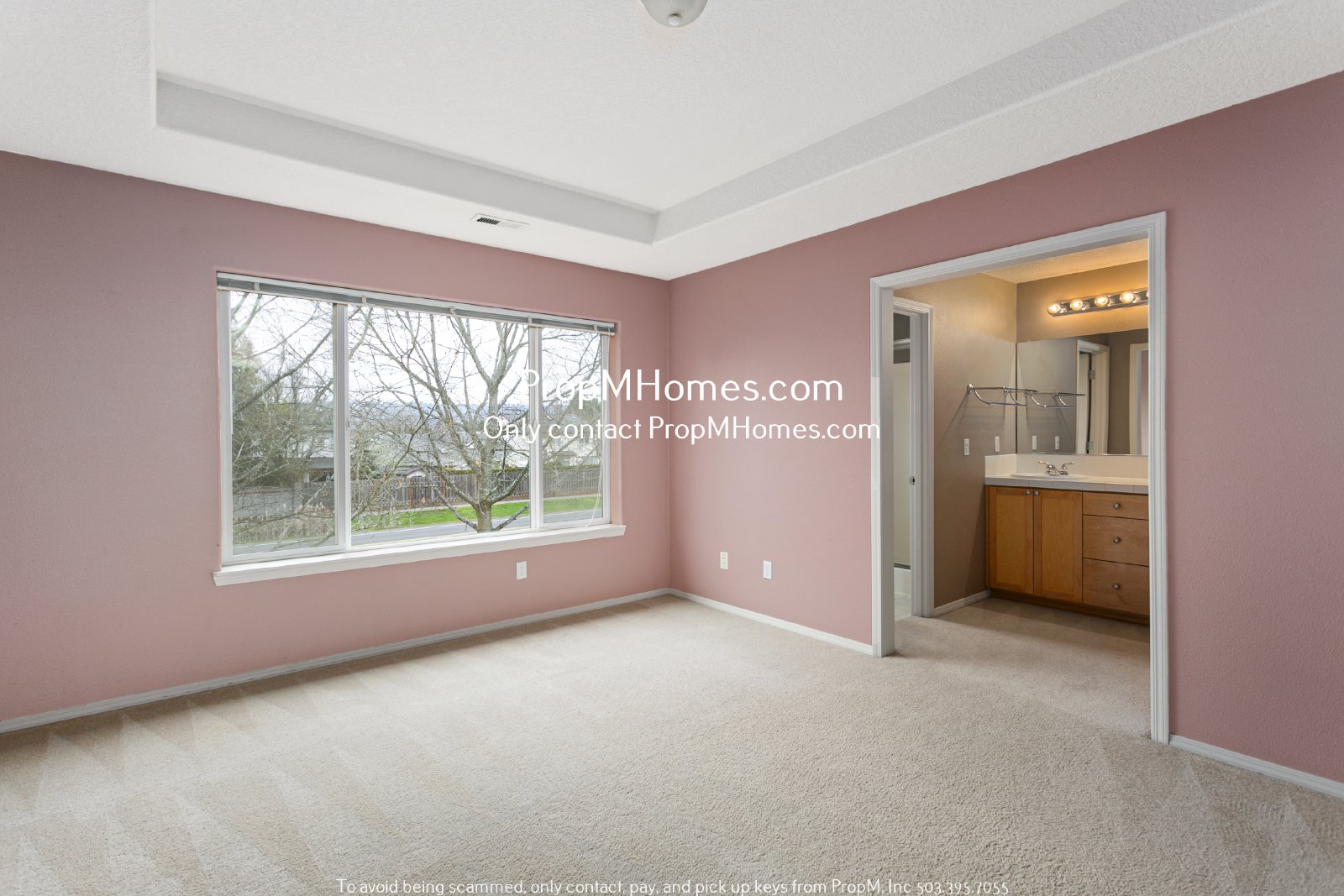 Colorful Four Bedroom Home In Bethany W/ Spacious Backyard! property image