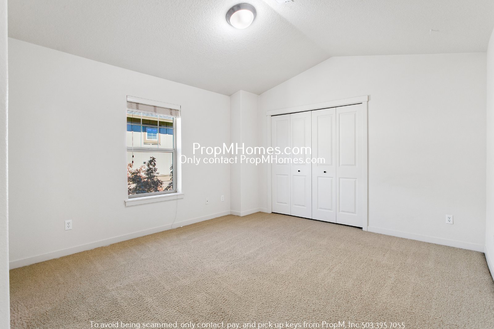 Beautiful Three Bedroom Home In Arbor Crossing! property image