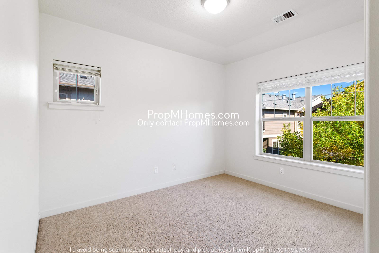 Beautiful Three Bedroom Home In Arbor Crossing! property image