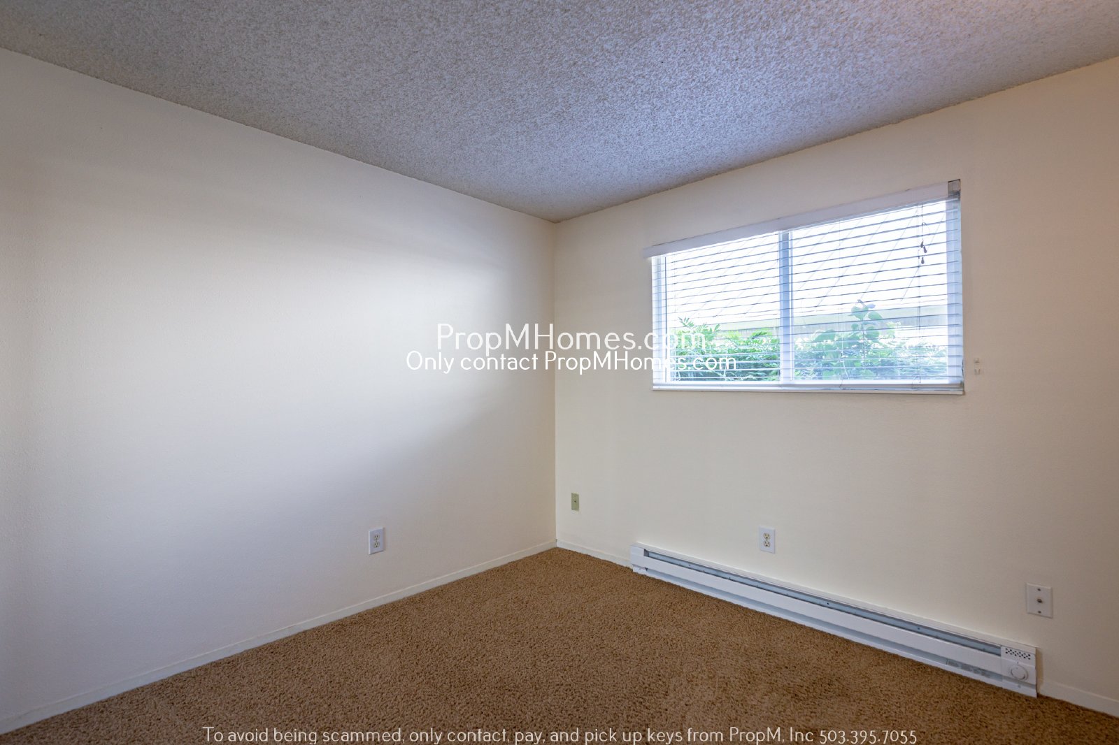 Ground Level Two Bedroom in Multnomah Village! property image
