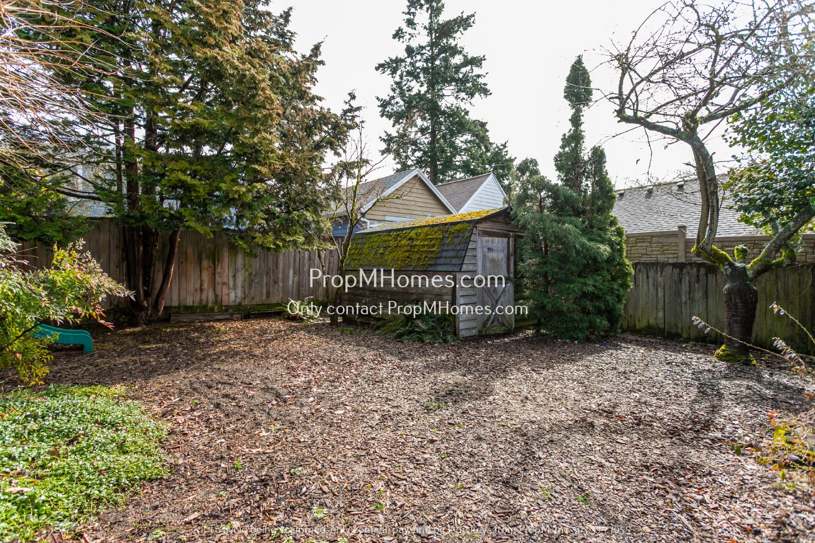 Four Bedroom Beauty in Prime NE Location! property image