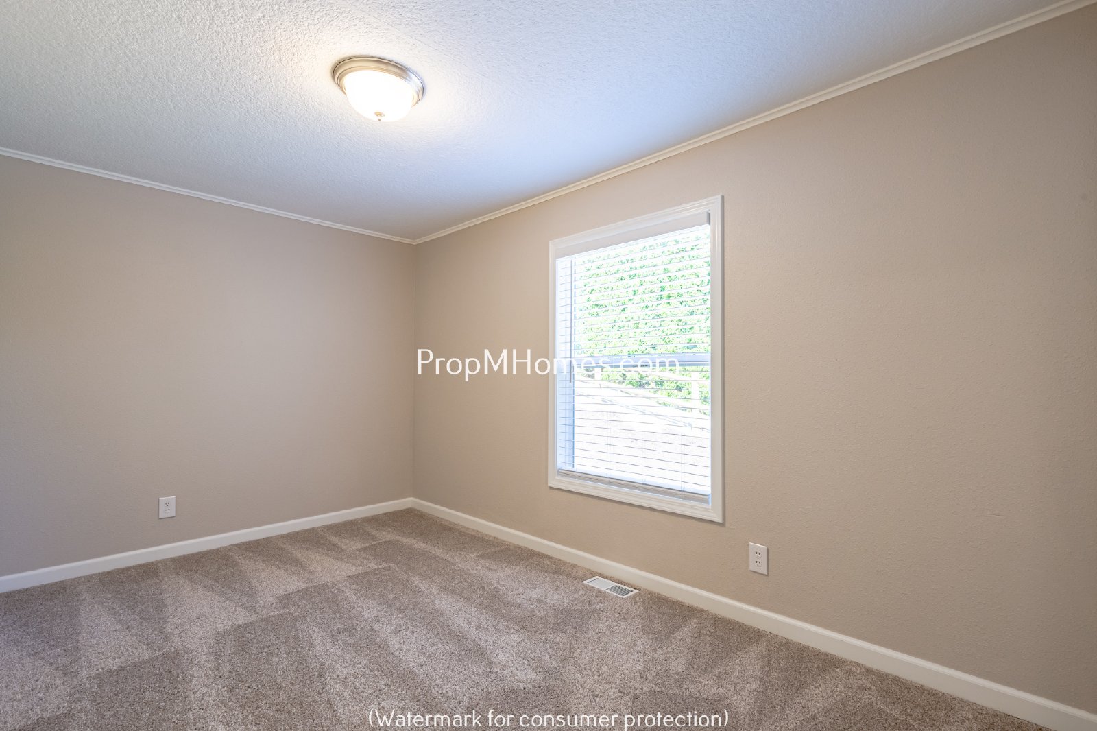 Updated Three Bedroom Home in Milwaukie Heights! property image