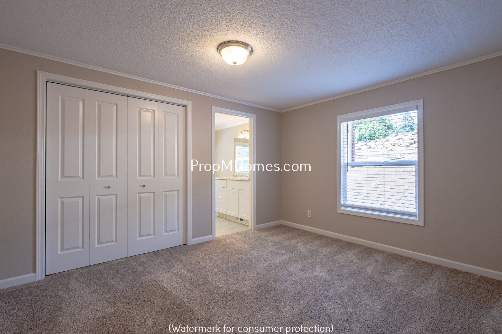 Updated Three Bedroom Home in Milwaukie Heights! property image