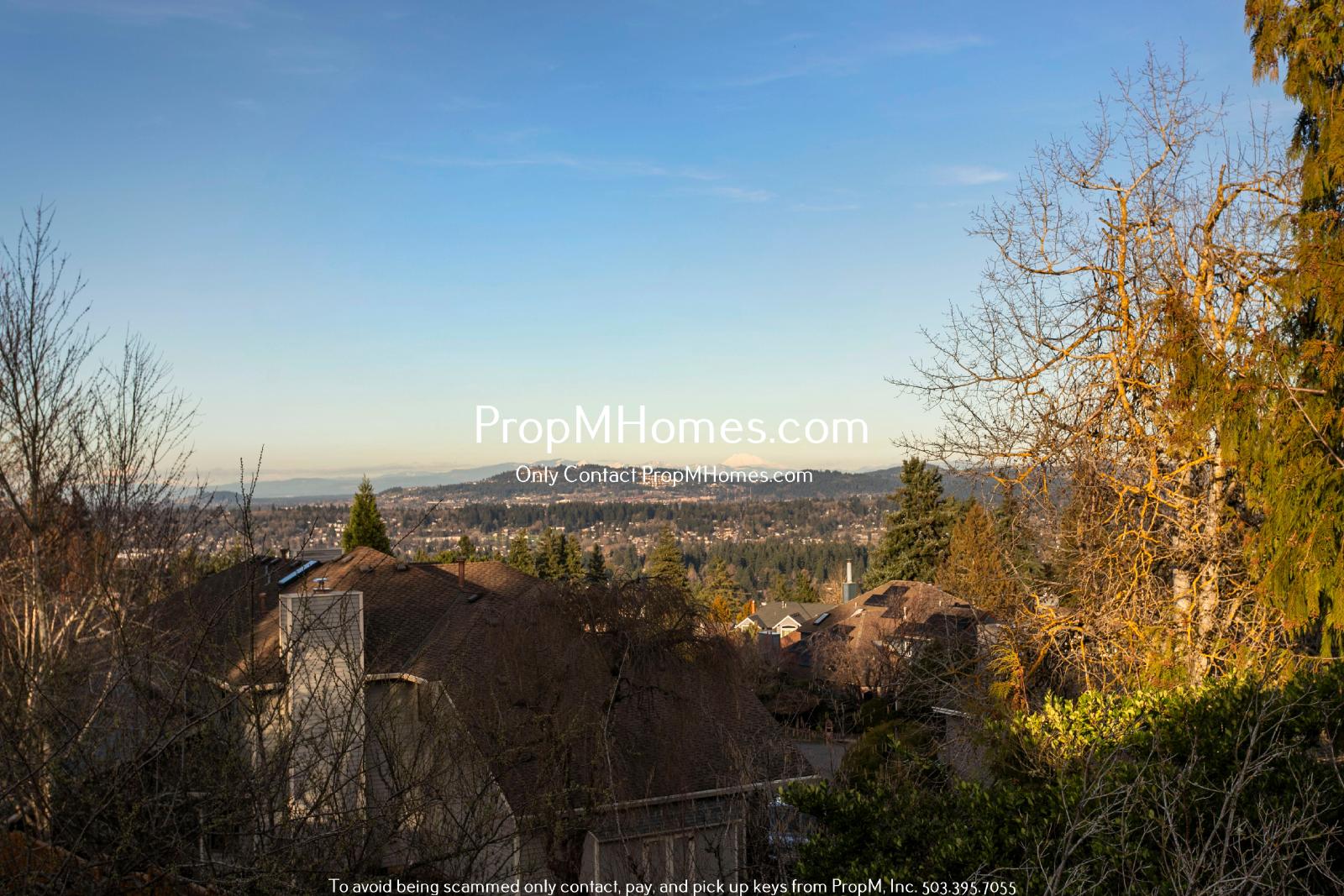 Luxury Four Bedroom Home in West Linn w/ Stunning Views! DEPOSIT SPECIAL property image