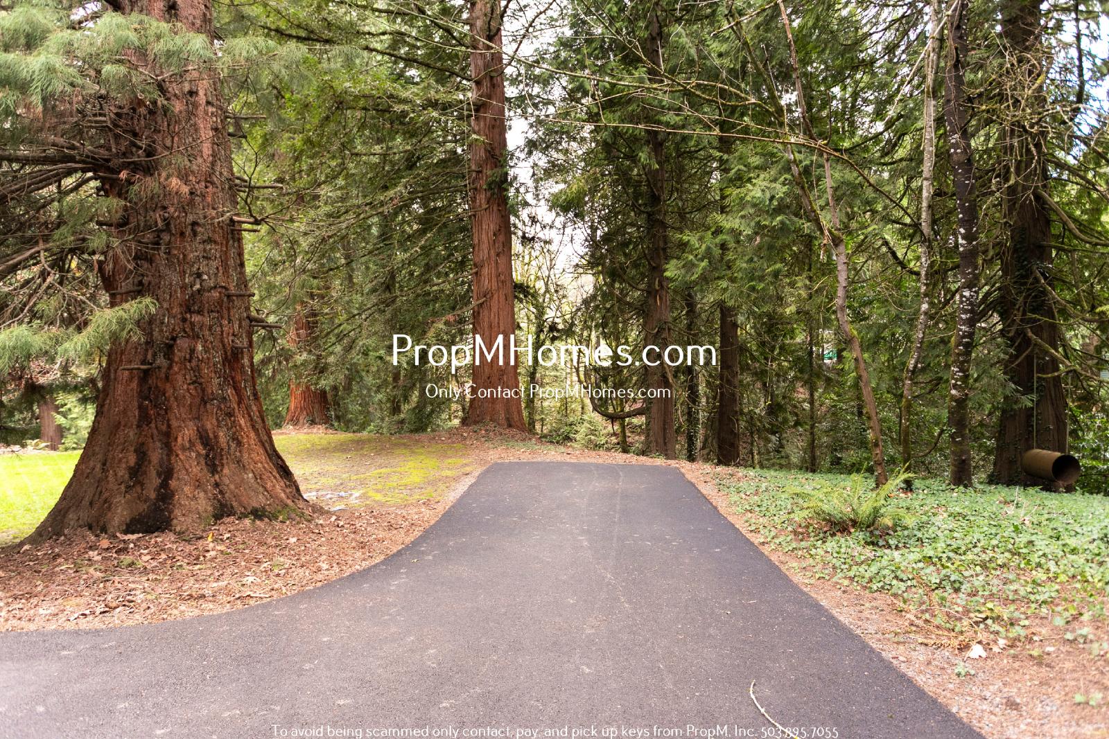 Rare Three Bedroom Gem in SW Portland! property image