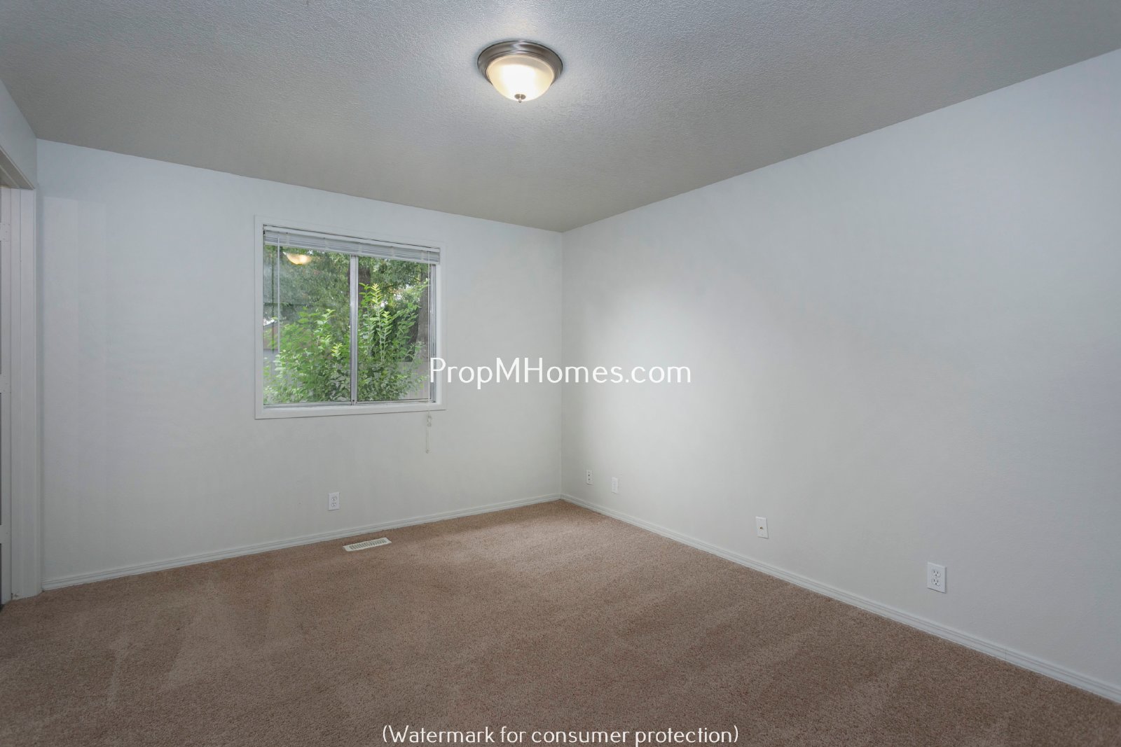 Quaint Ranch Style Home with Fenced Yard! property image