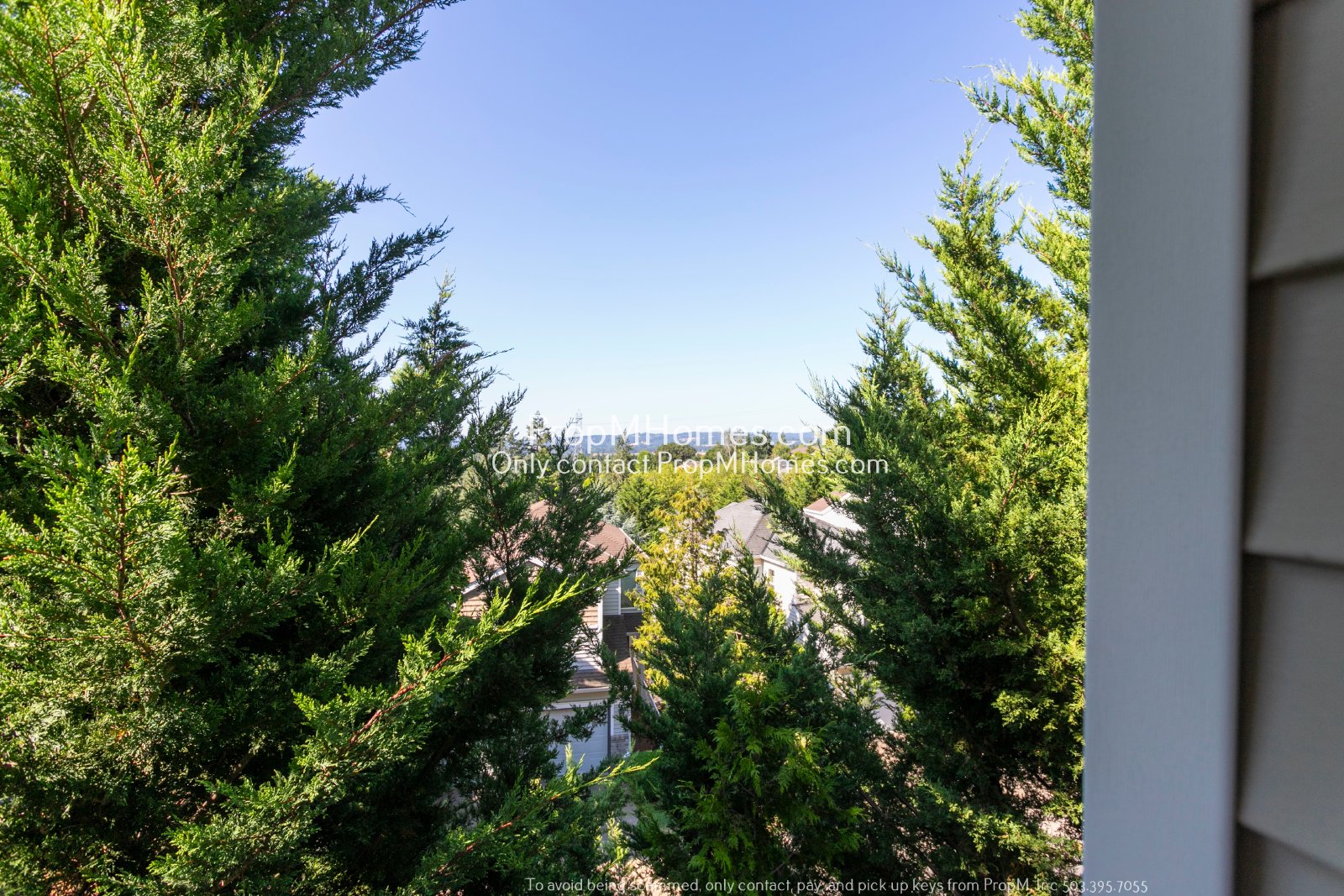 Four Bedroom Home with Amazing Views in Bull Mountain! DEPOSIT SPECIAL property image