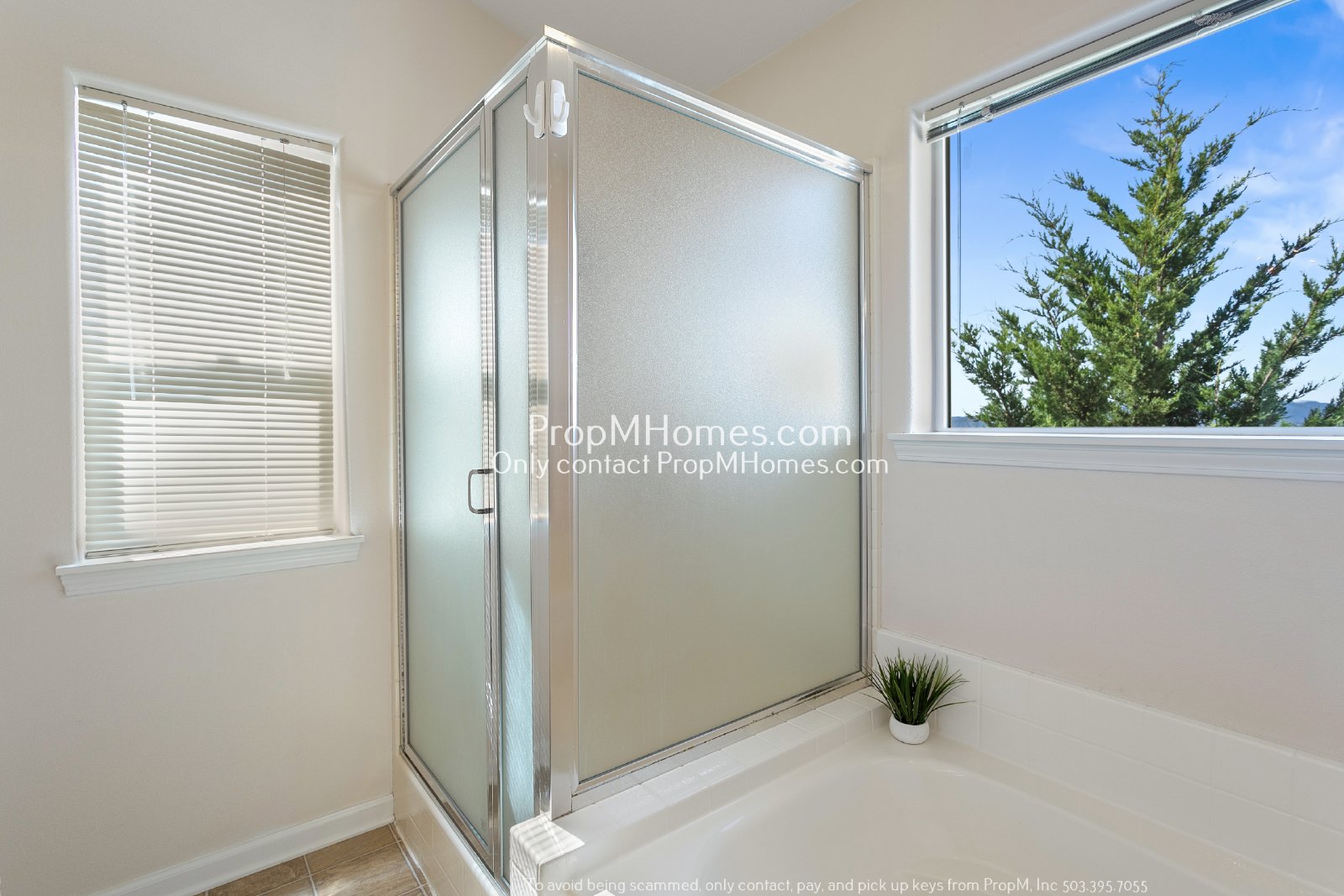 Four Bedroom Home with Amazing Views in Bull Mountain! DEPOSIT SPECIAL property image