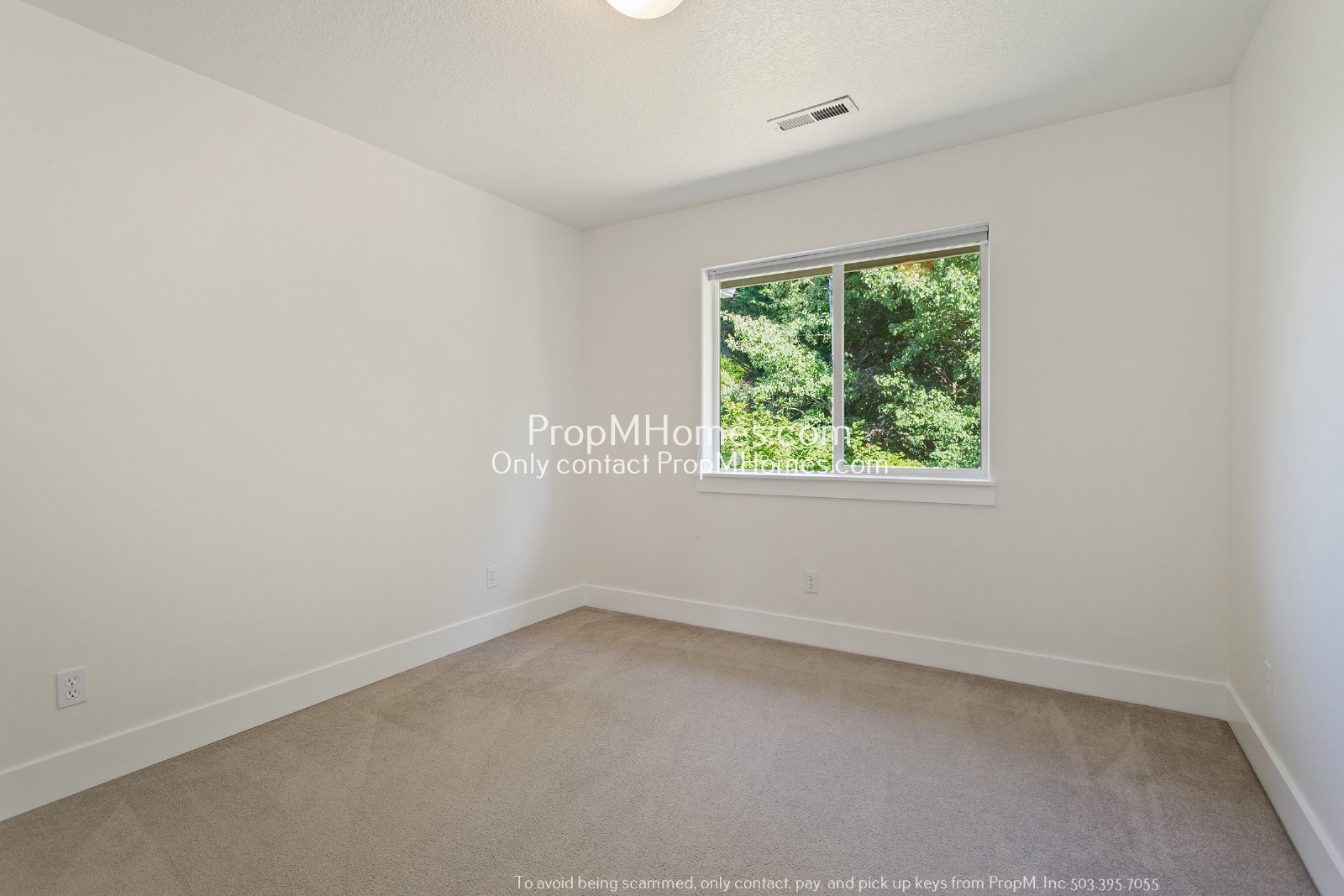Spacious 5-Bedroom Oasis in the Heart of Five Oaks! property image
