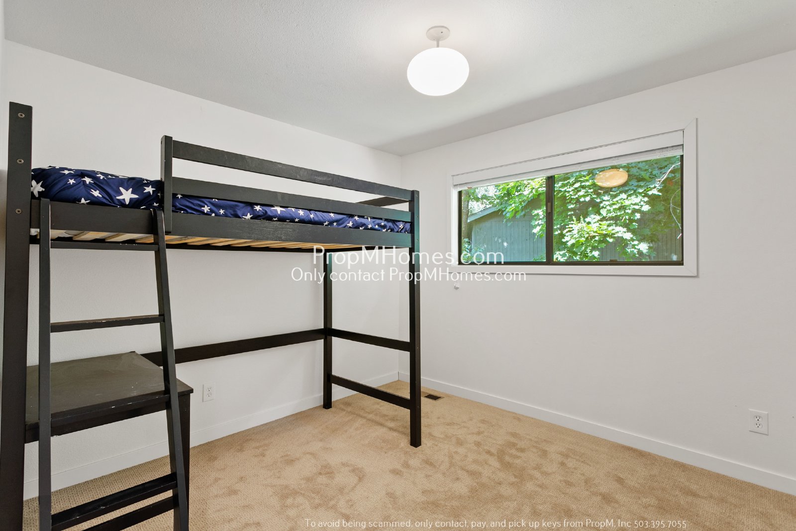 Mid-Century Modern Three Bedroom in Happy Valley! property image