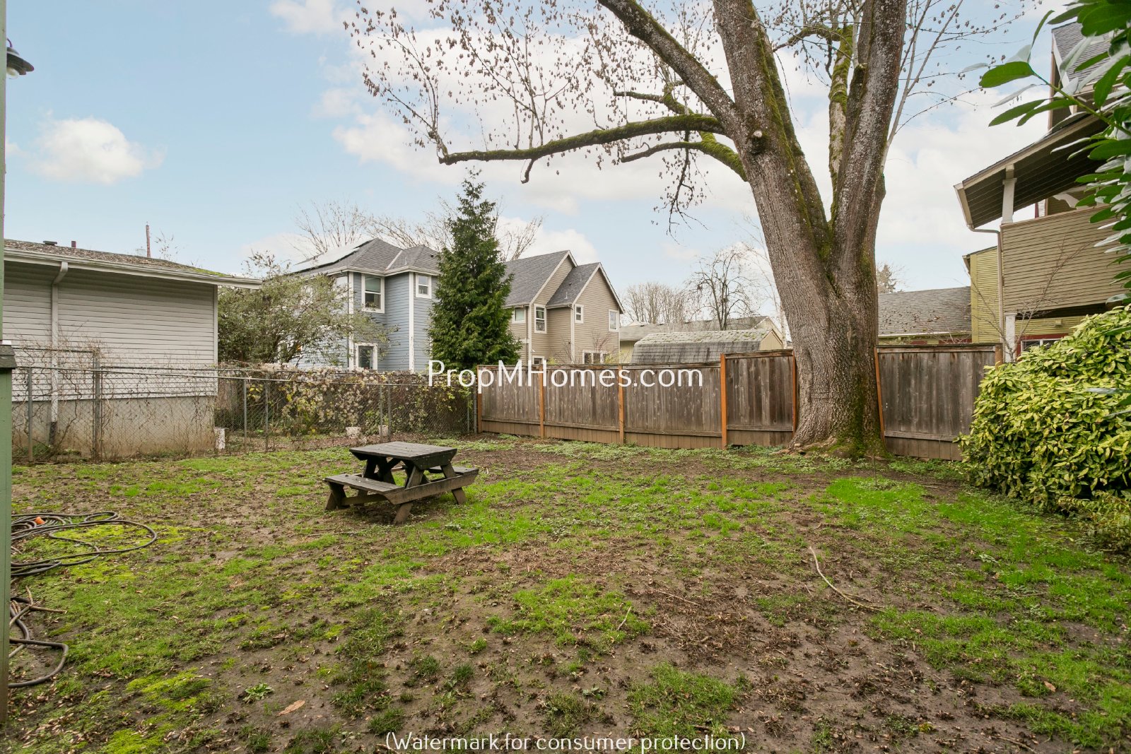 Charming Two Bedroom Lower Level Duplex In SE Portland - Sunnyside! property image